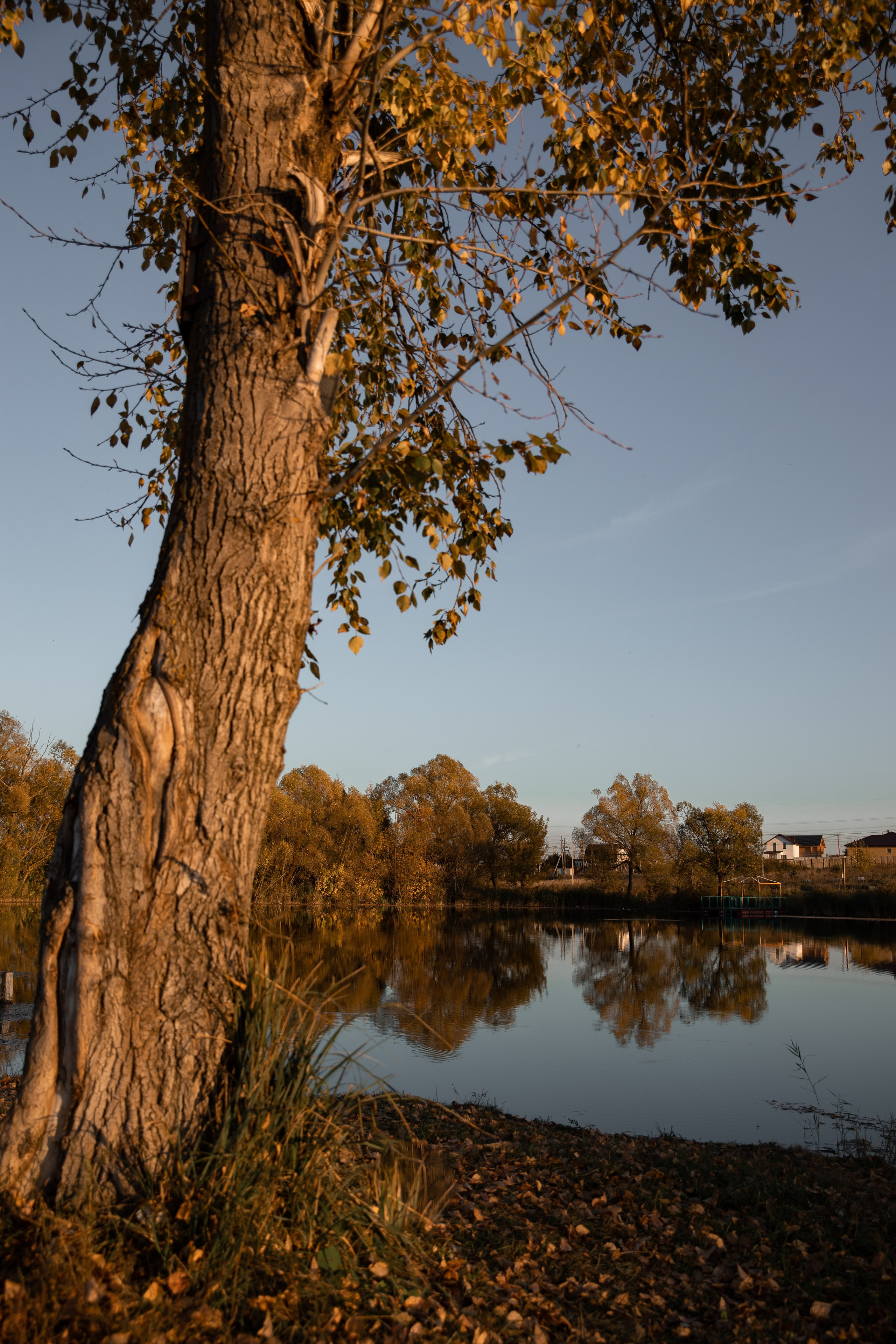 Ольга. Семейный фотограф документалист в Пензе Лопатинская Татья