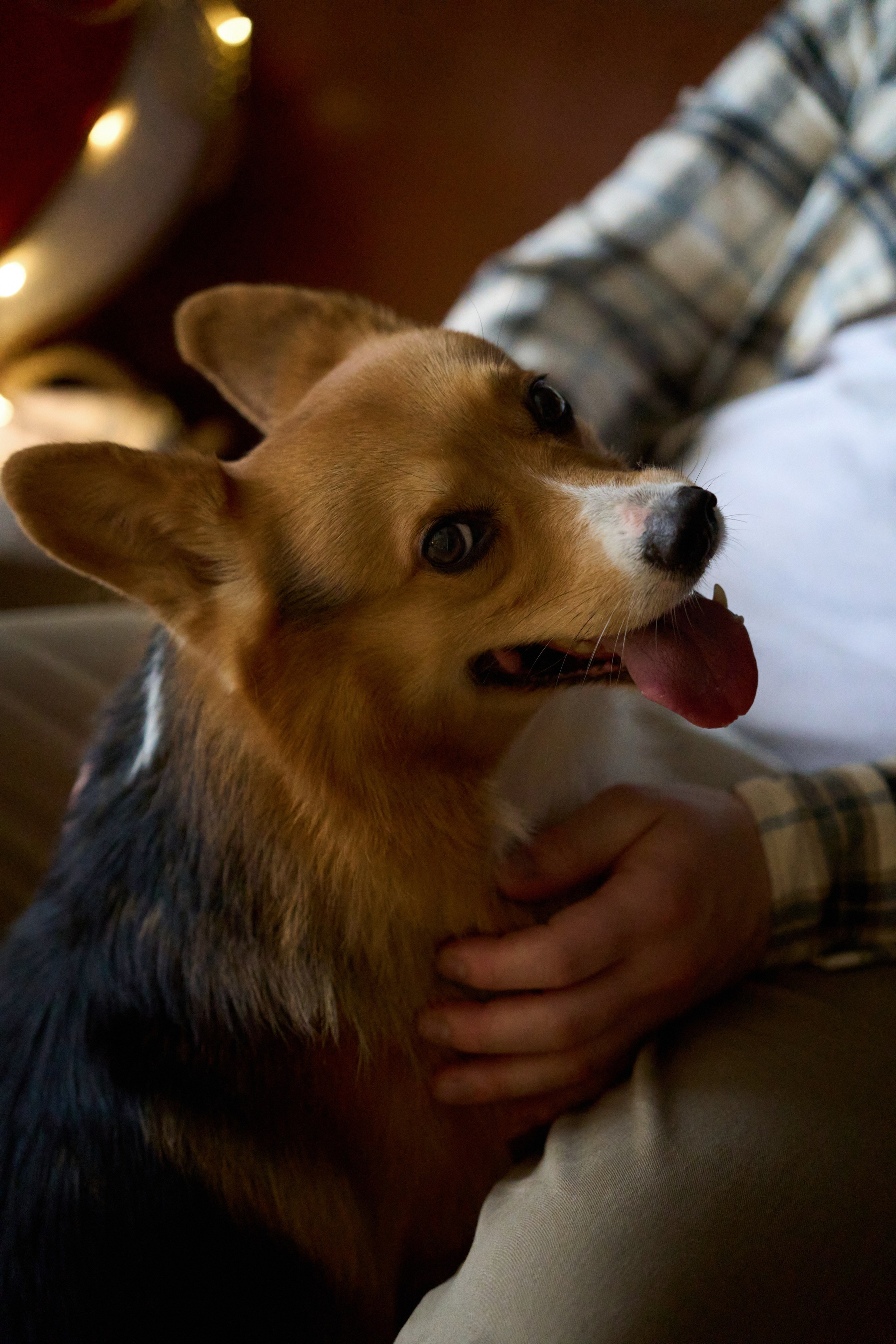 Максим, Кристина и Кофри. Фотограф из Владивостока Юлия Черепова