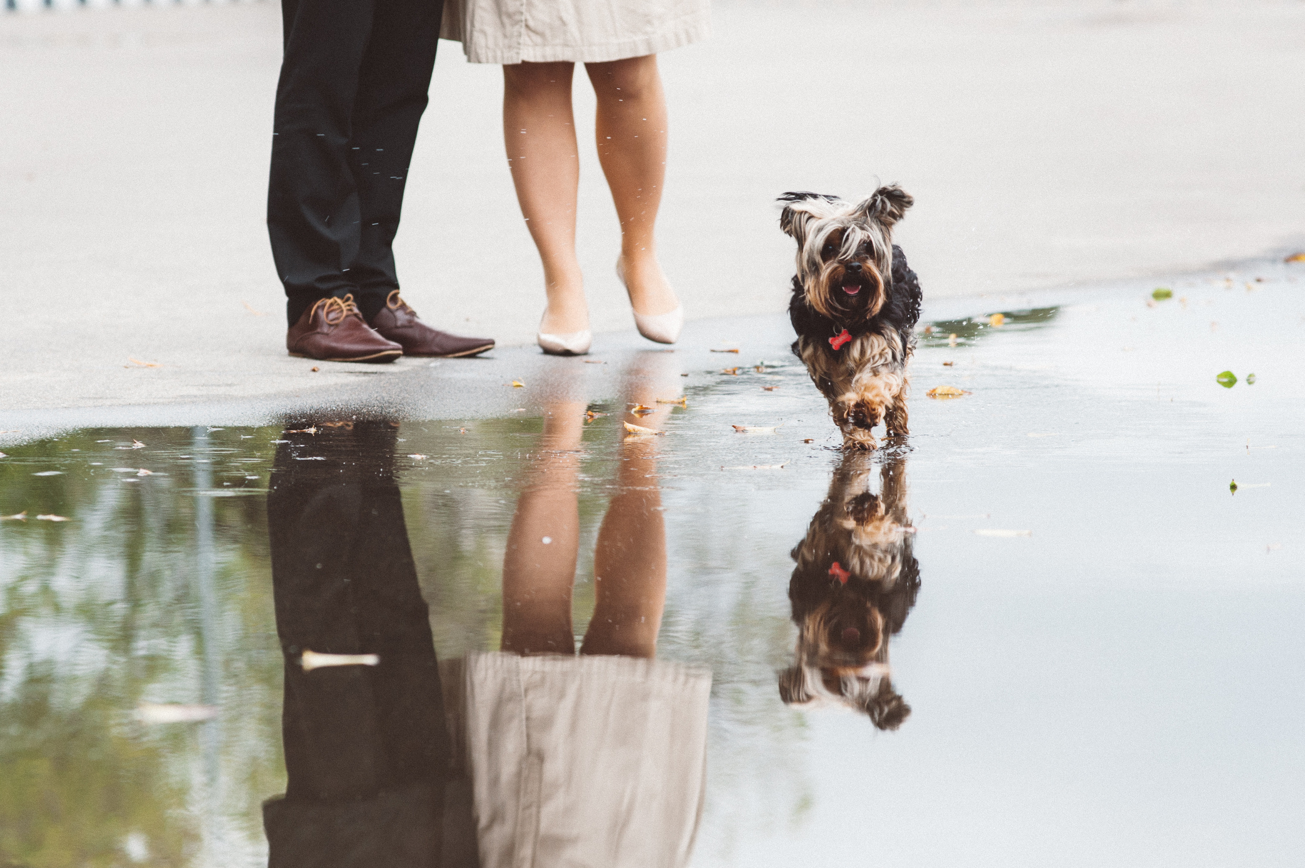 Свадебная фотосессия на Речном вокзале. Семейный фотограф в Москве Елена Снегирева