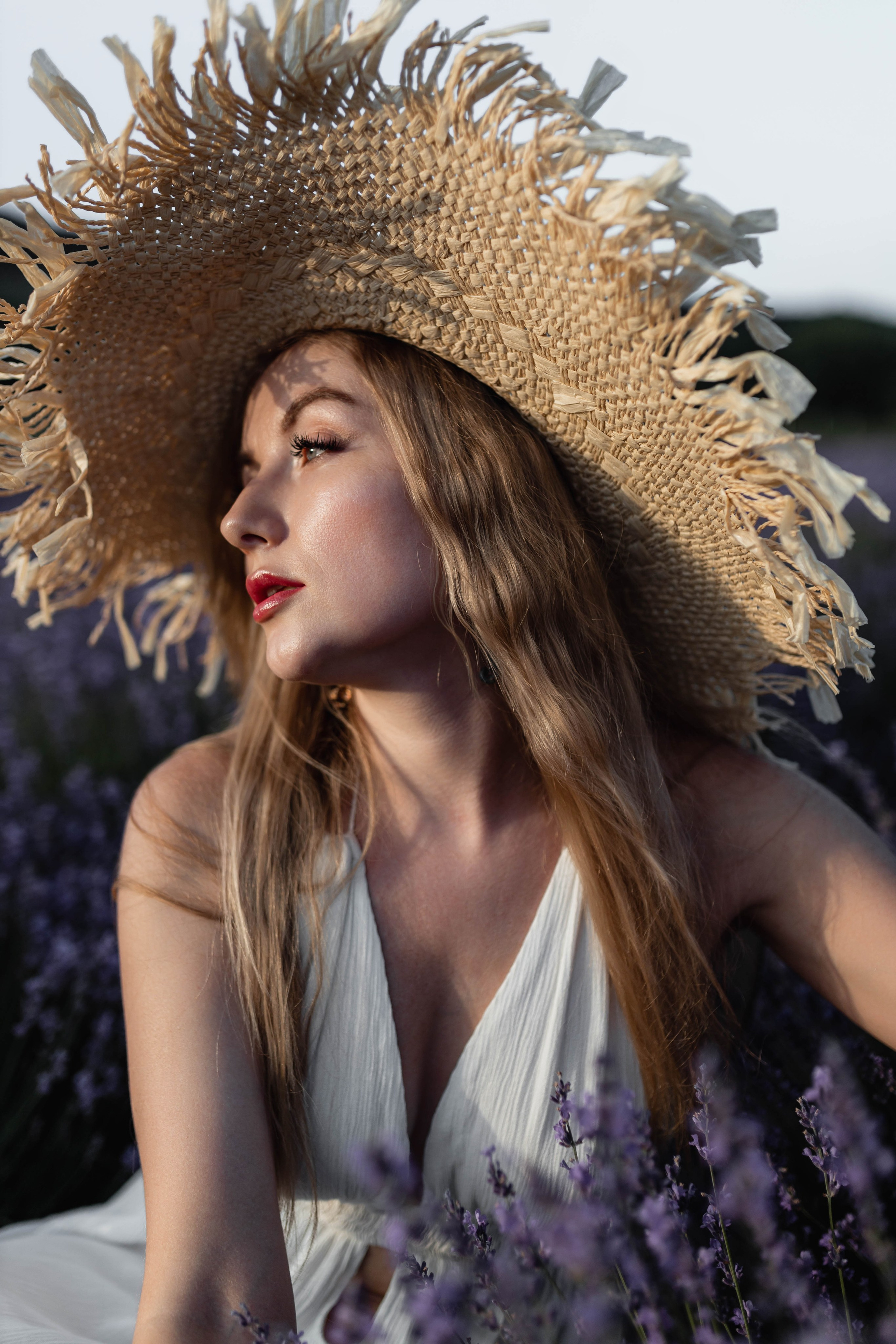 Лаванда. Фотограф Трифон Мира