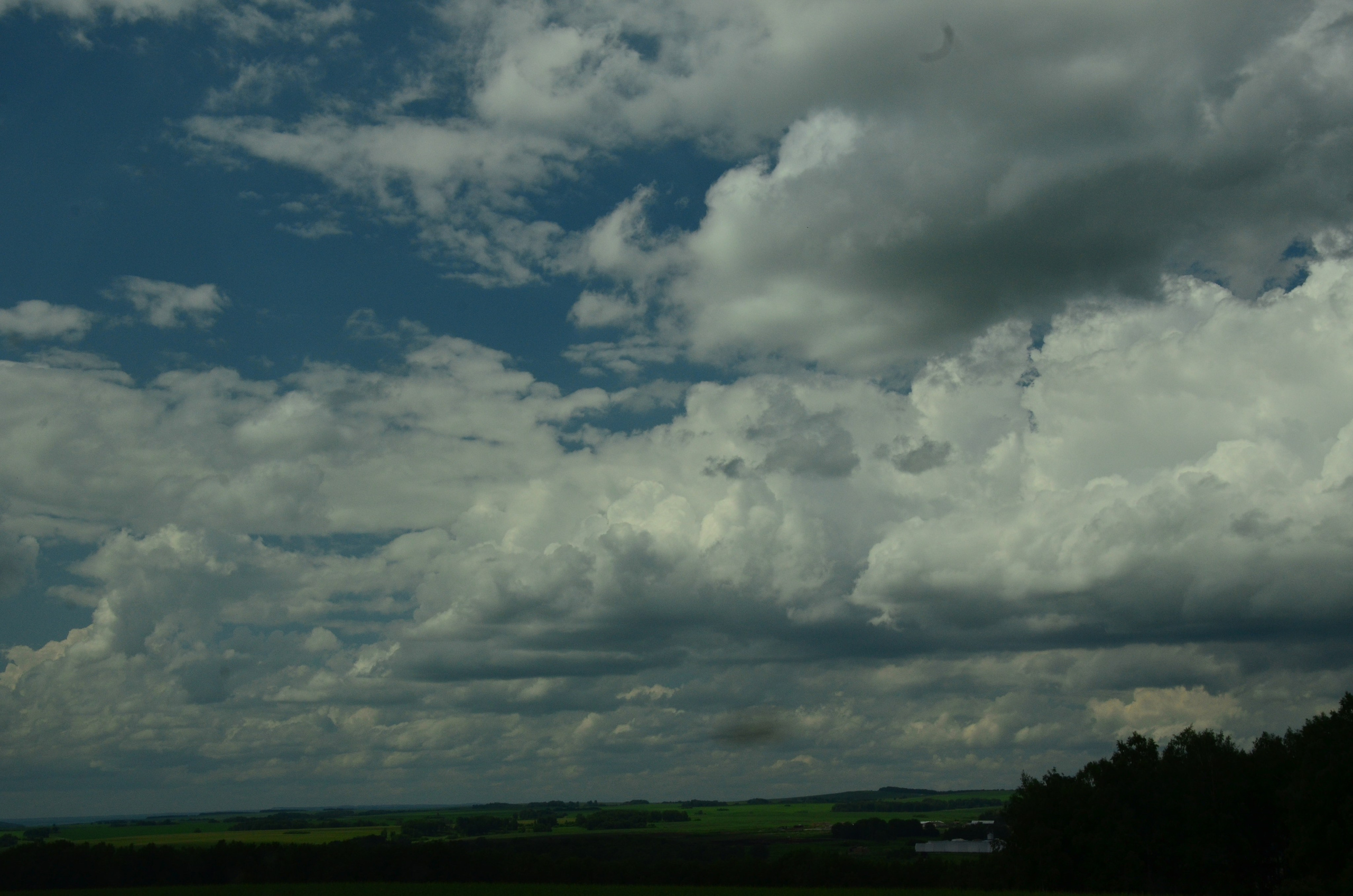 Дары природы. Фотограф viktor viktor