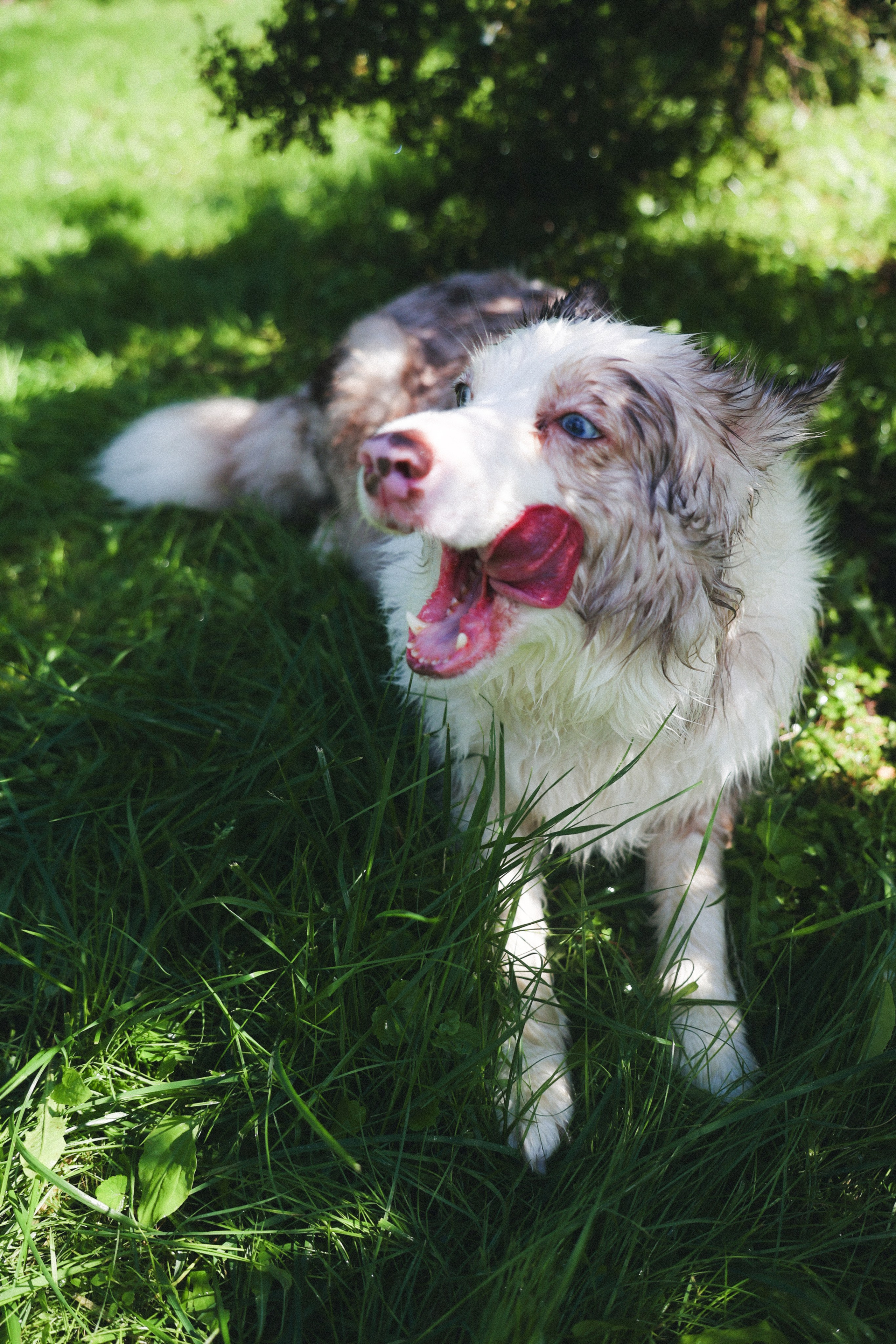 Мокрые девчонки. Фотограф НатаФото (Наталья Яковенко) Дмитров Москва Питер