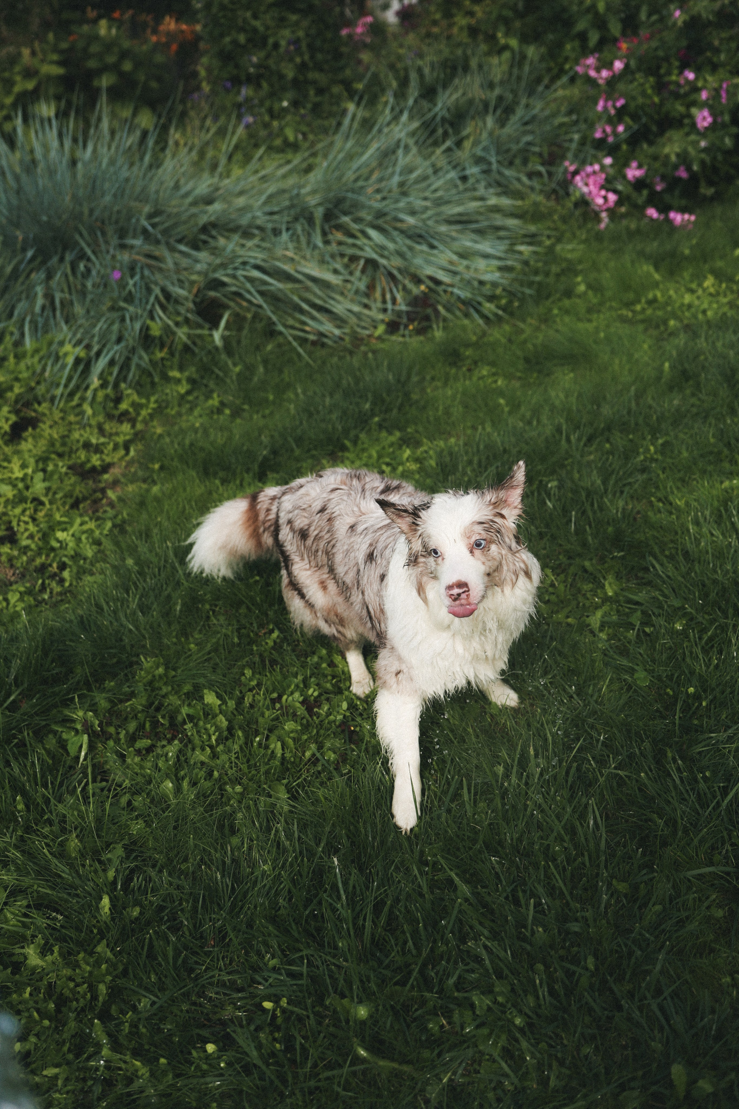 Мокрые девчонки. Фотограф НатаФото (Наталья Яковенко) Дмитров Москва Питер