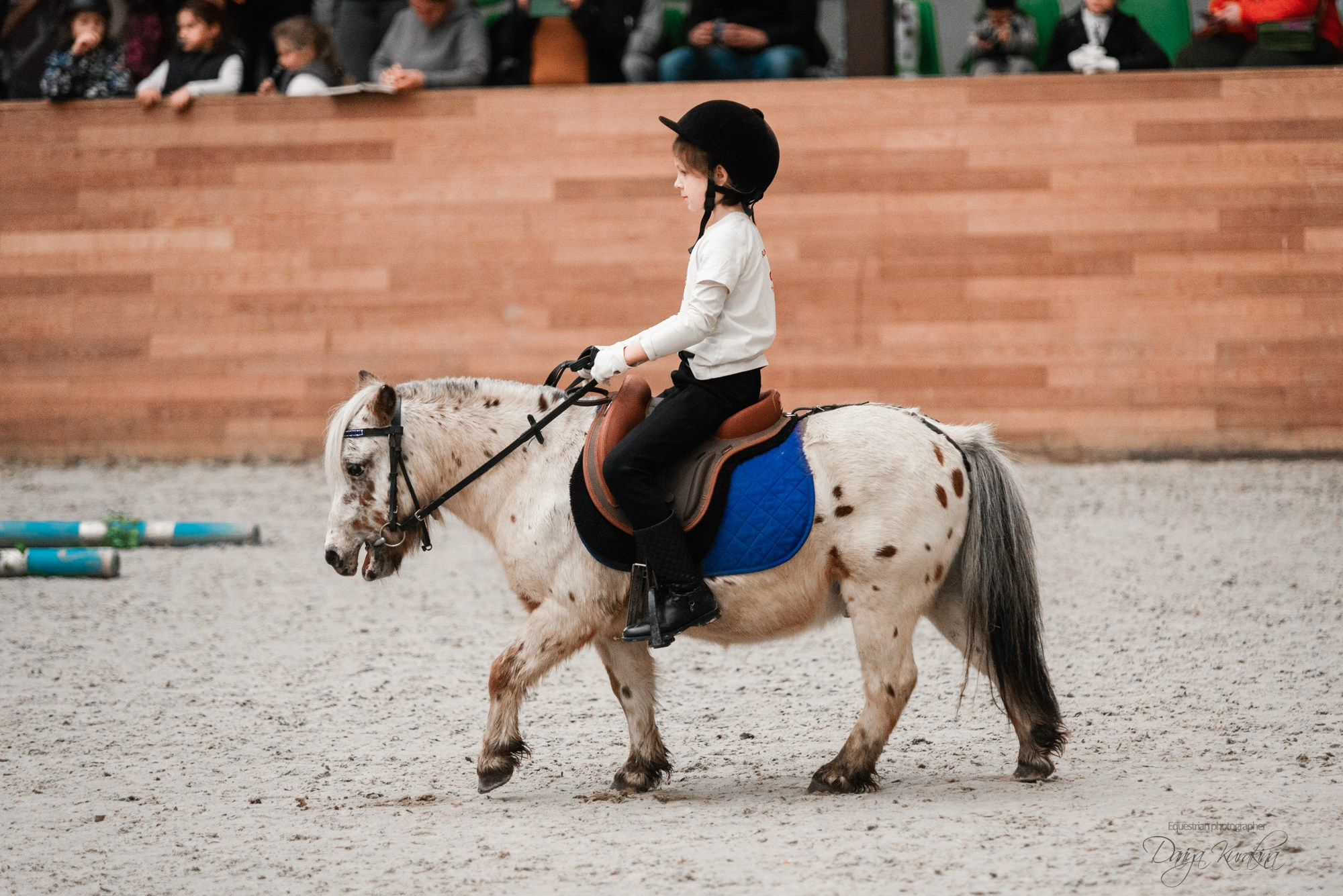 8-я международная выставка Конная Россия. Конный фотограф Куракина Дарья • Фотосессии с лошадьми