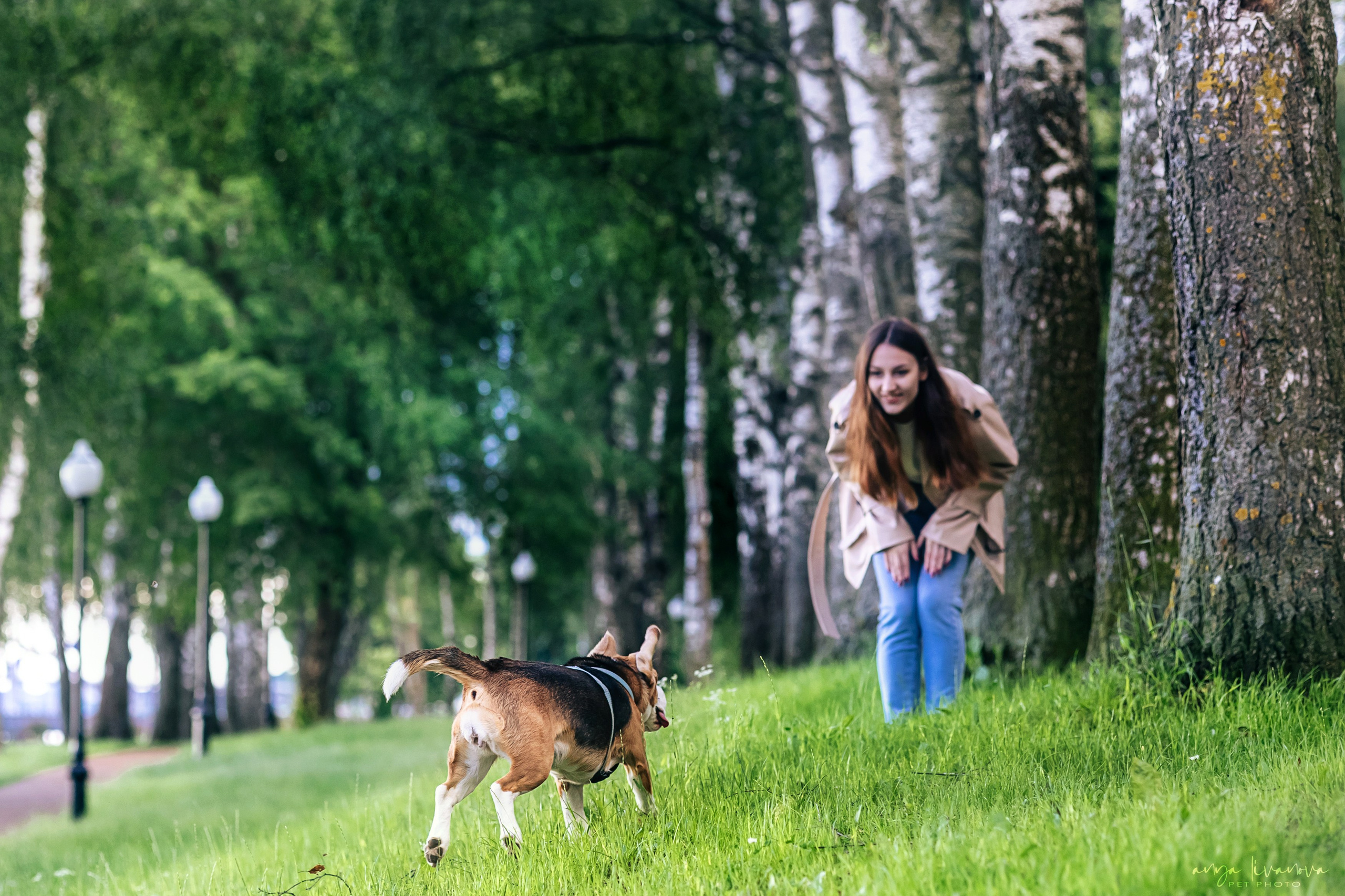 Диана и Дафна. Фотограф анималист Аня Ливанова | Рыбинск