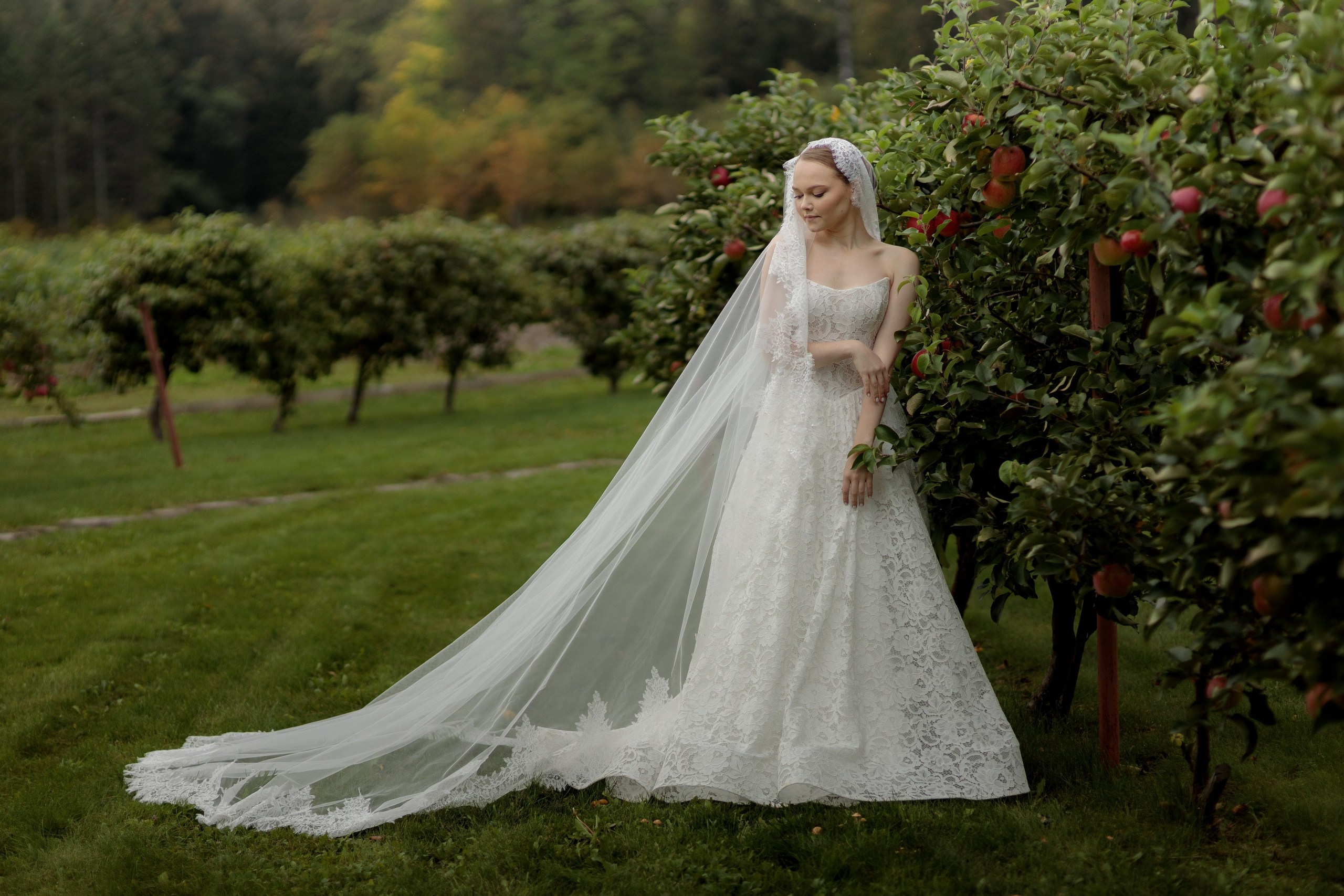 Александра и Николай. Фотограф Дарья Норкина