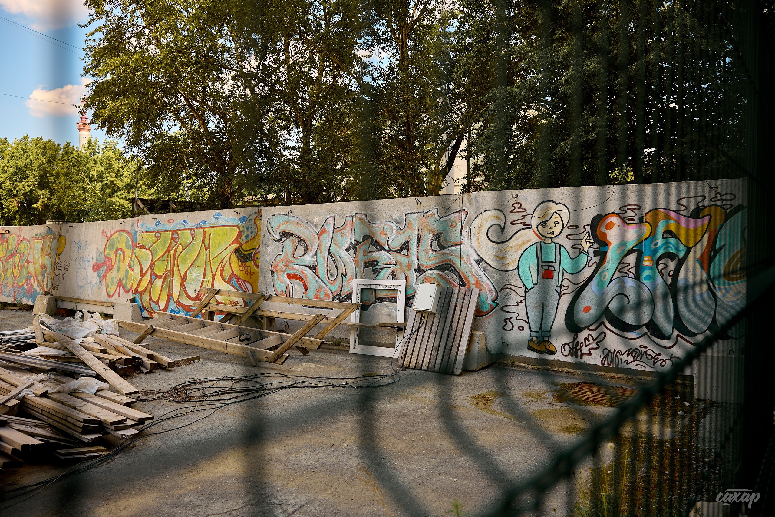 Что вижу, то и пою! от 2024_06_15. Профессиональный фотограф в Екатеринбурге Юра Сахар