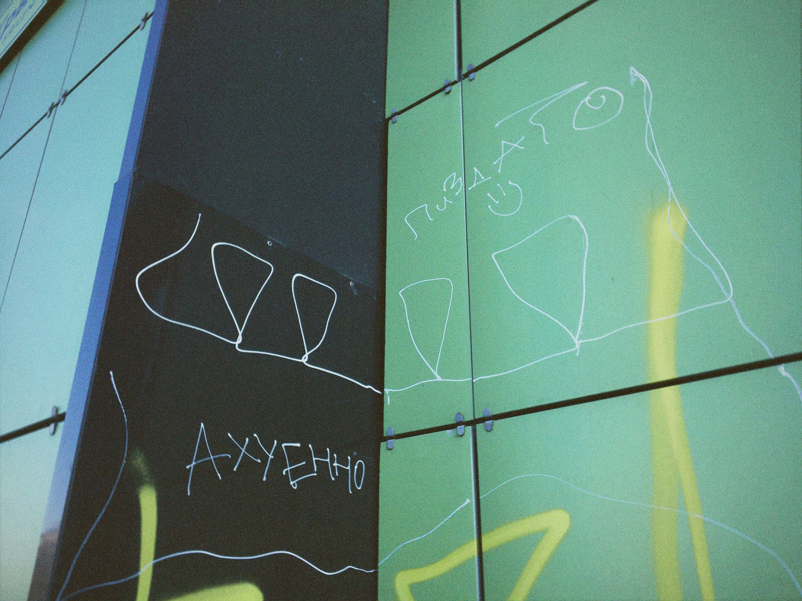 Street Caps. Alina Panover