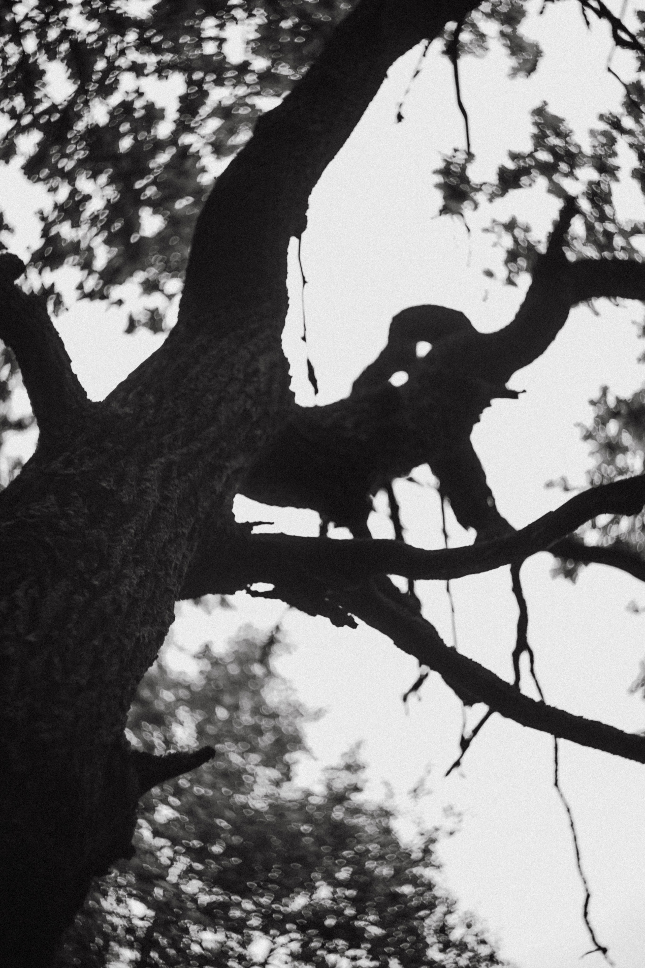 Лесное. Лена. Фотограф в Нижнем Новгороде
