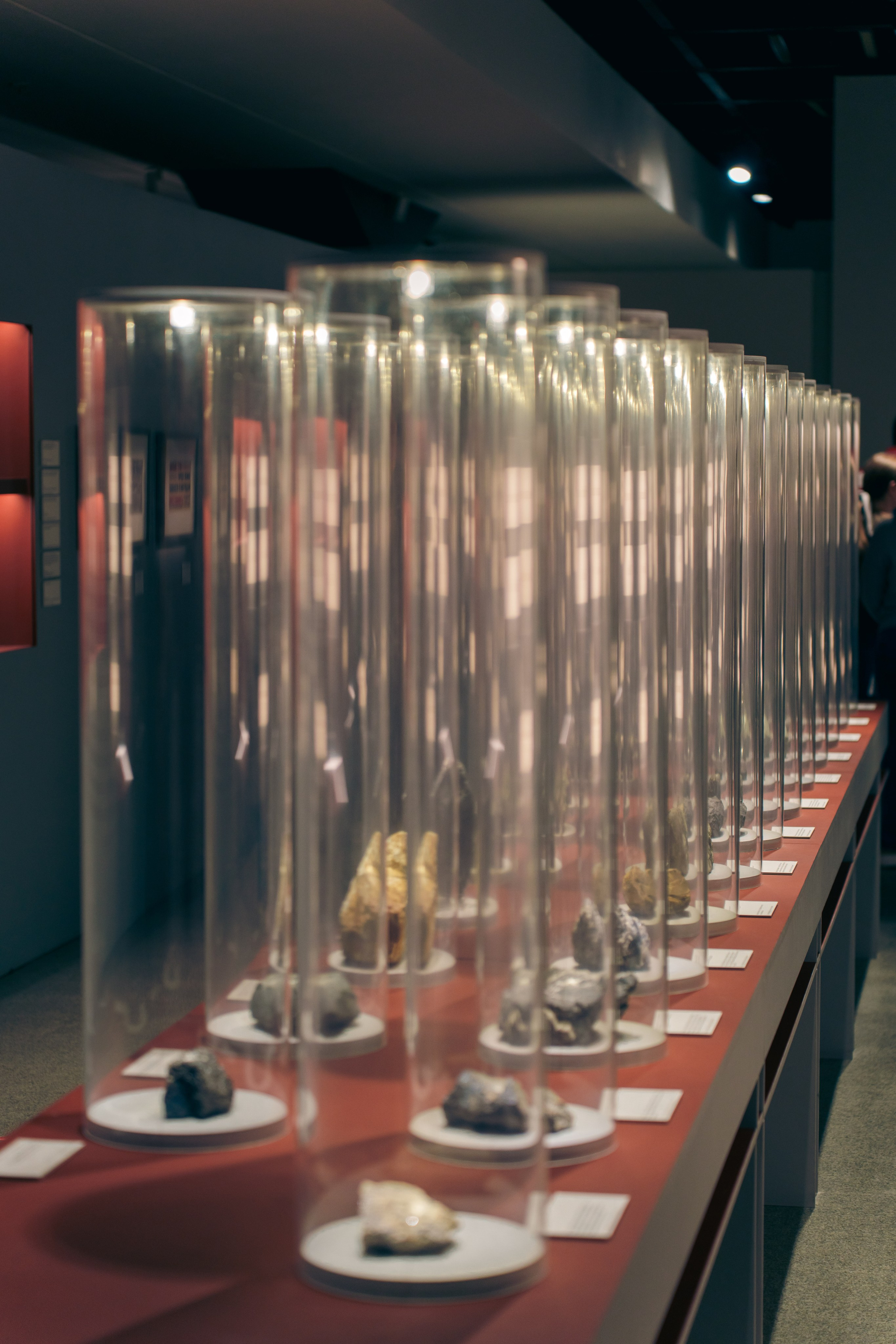 Выставка Великая страна — великая победа. Фотограф в Санкт-Петербурге Ибрагимова Алина