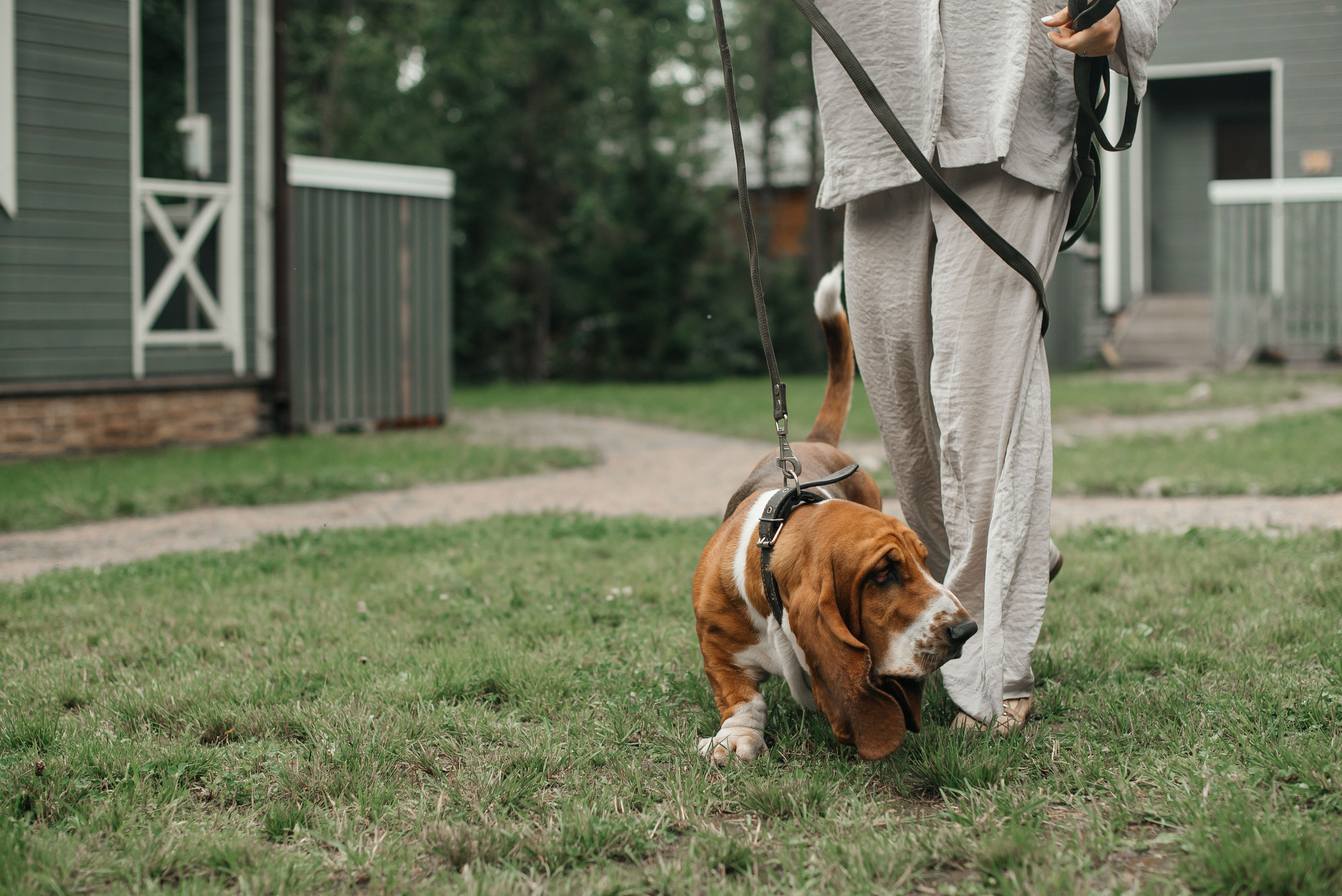 Алина & Владимир. Фотограф Кирилл Ряховский