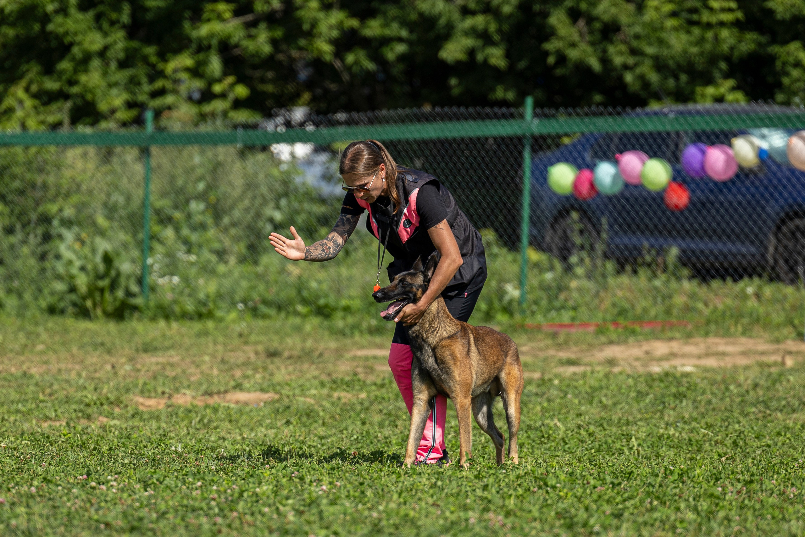 Соревнования по Мондьорингу г. Вологда 10-11.08.2024. Фотограф-анималист Анна Маринич