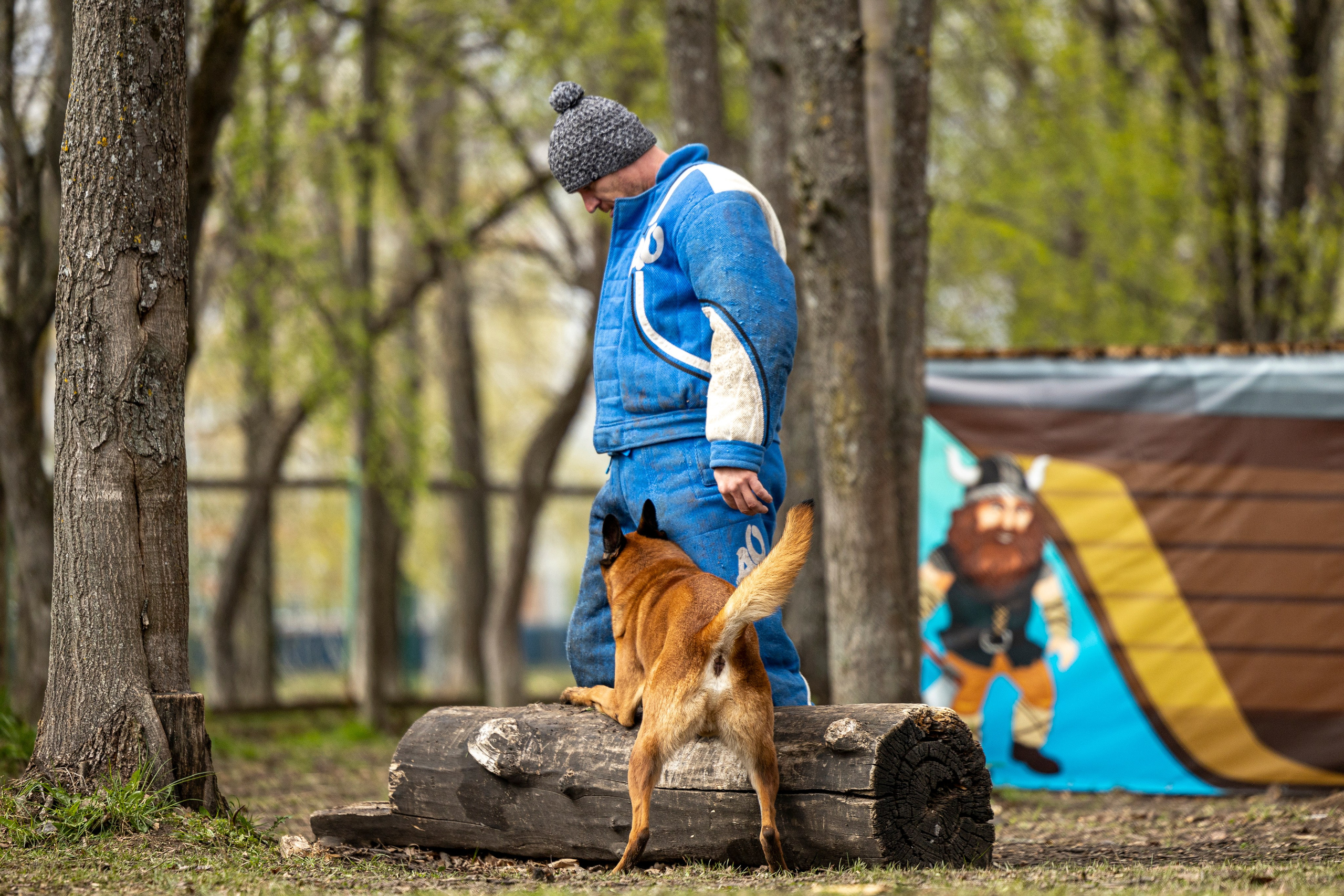 Квалификационные состязания по мондьорингу г. Вологда 11.05.24. Фотограф-анималист Анна Маринич