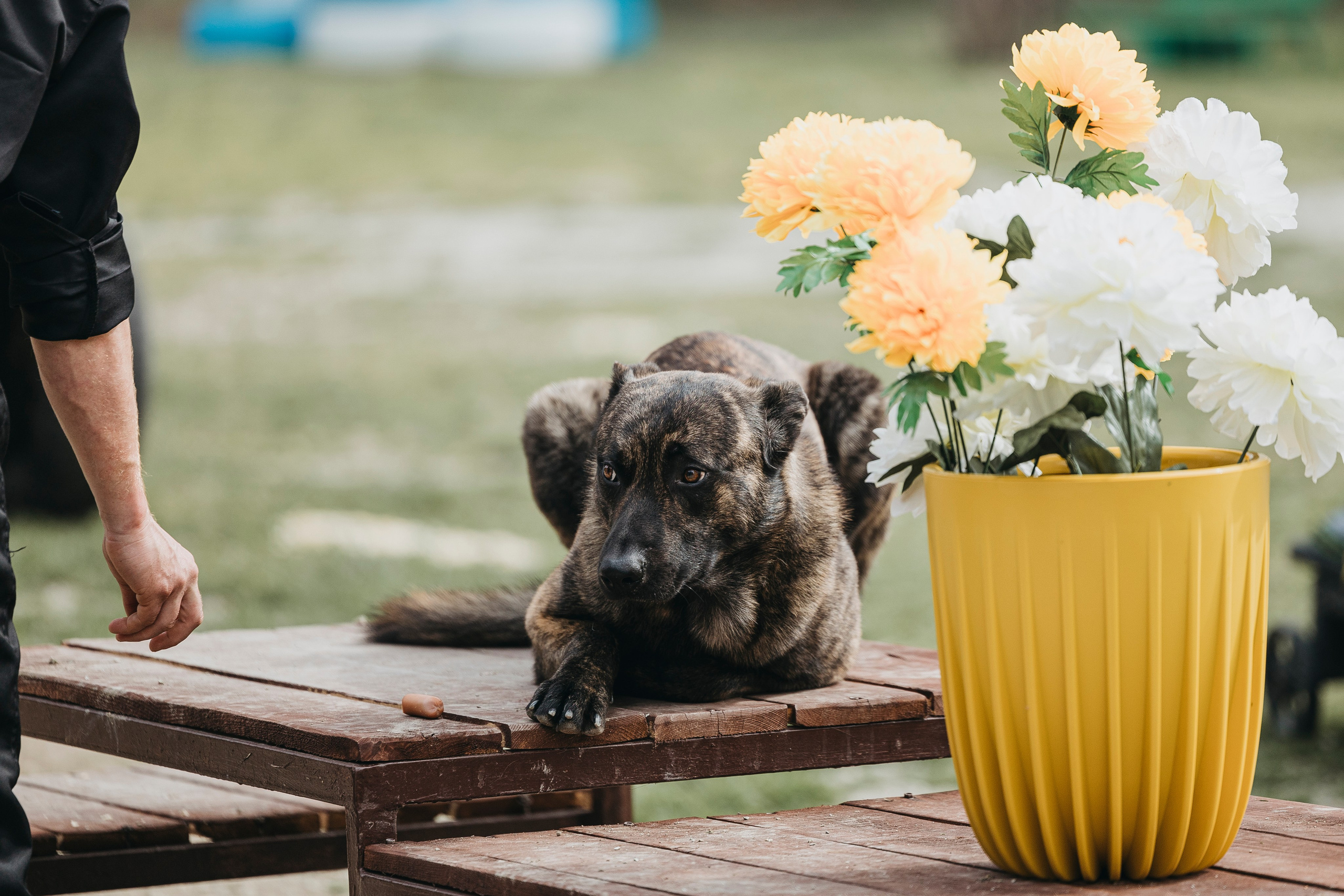 Геленджик Мондьоринг. Фотограф-анималист Анна Маринич