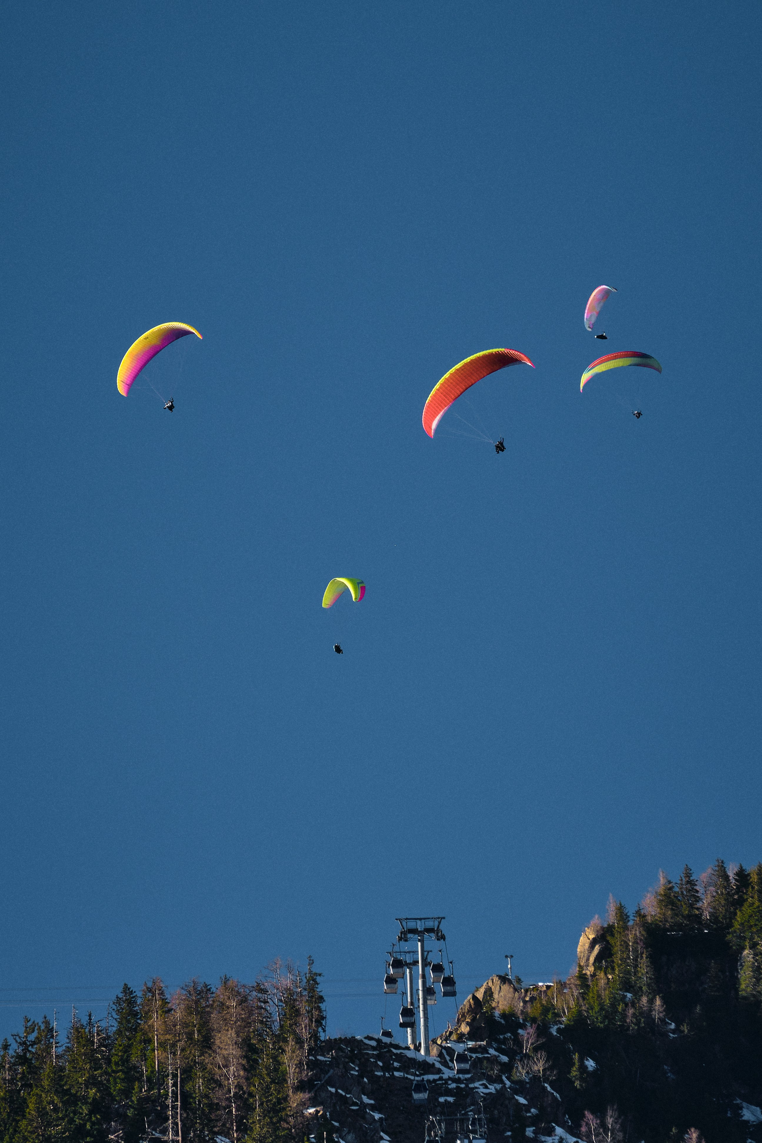 Courchevel / Shamonix / 2024. Aleksandr Kobtsev