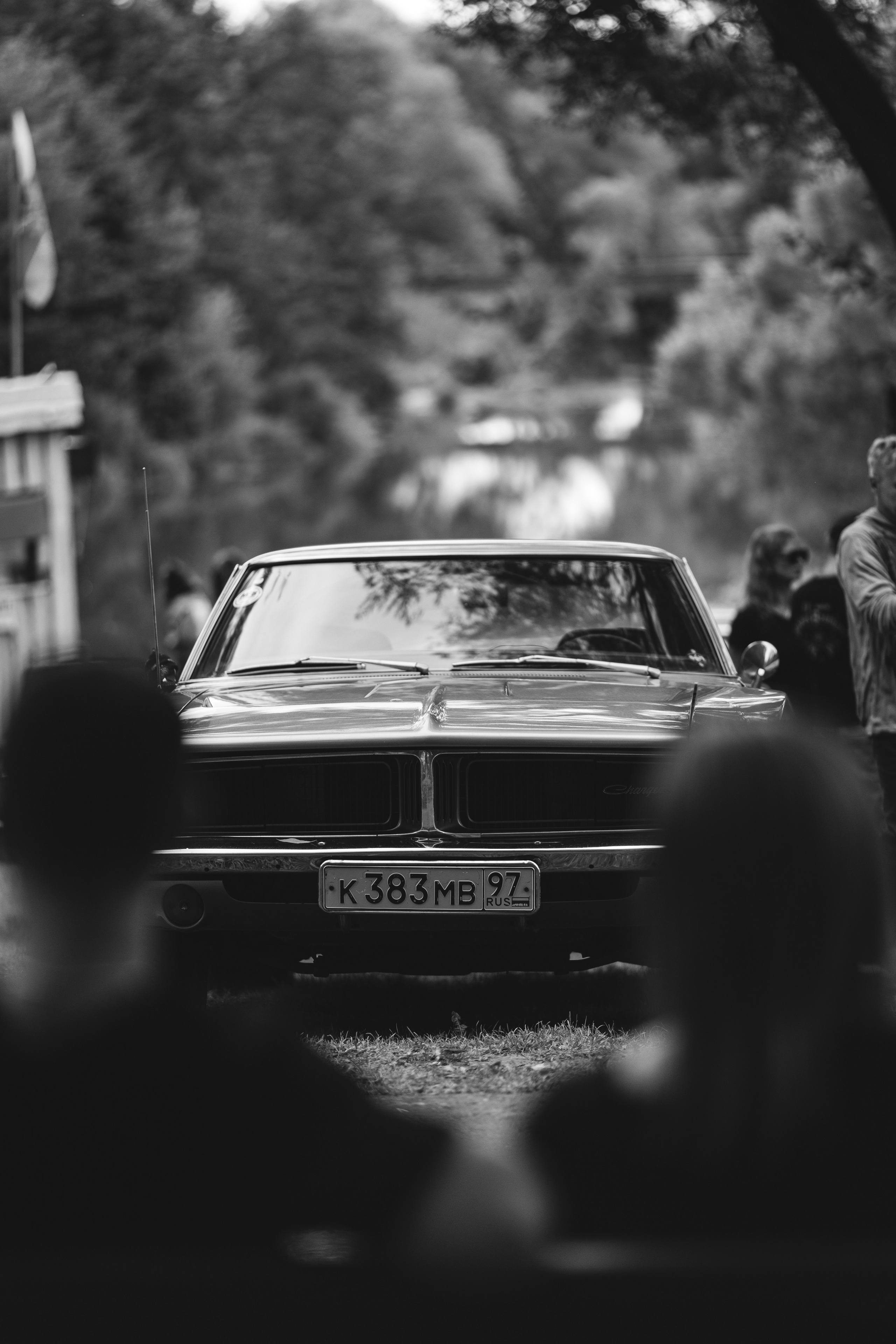 Мероприятия. Спортивный фотограф Виктория Адамова