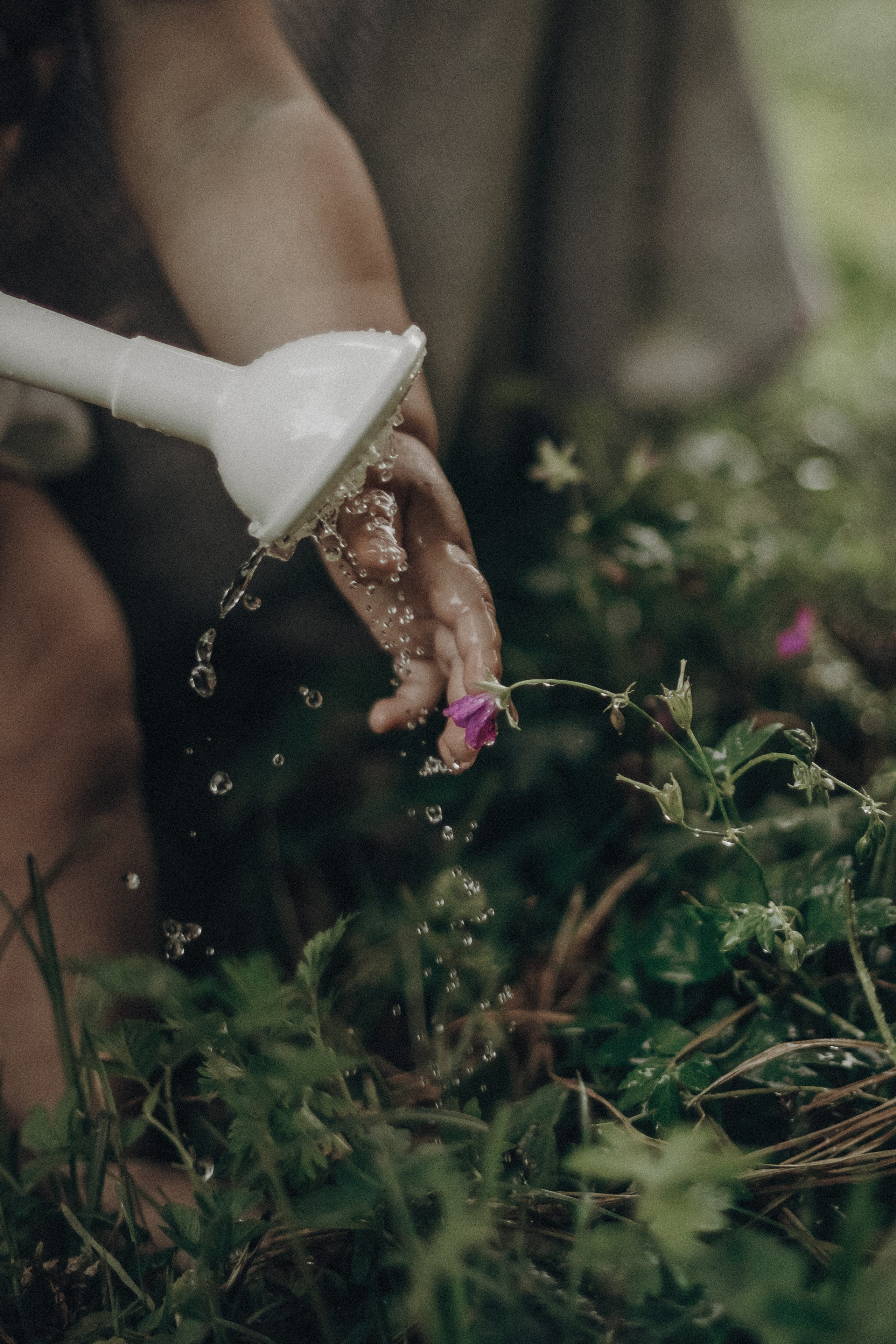 Мамина любовь. Семейный фотограф в Брянске Зурилина Екатерина