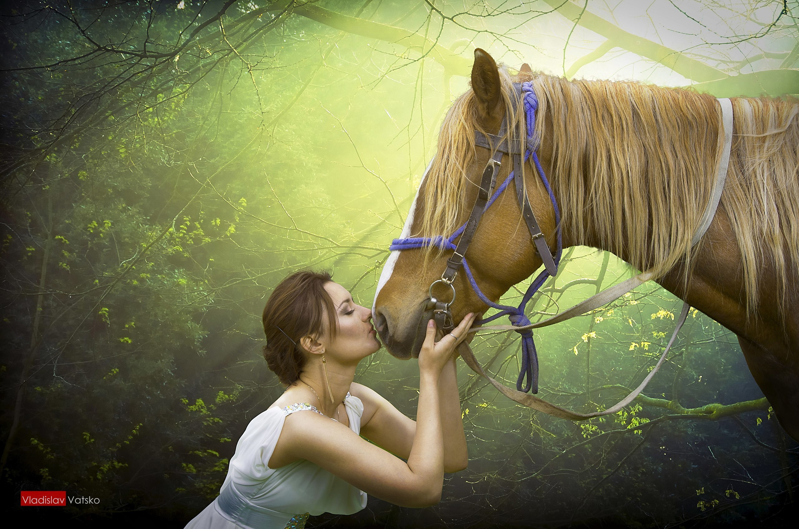 Отзывы о нашей работе. Свадебный фотограф и видеограф Владислав и Анастасия Макриди