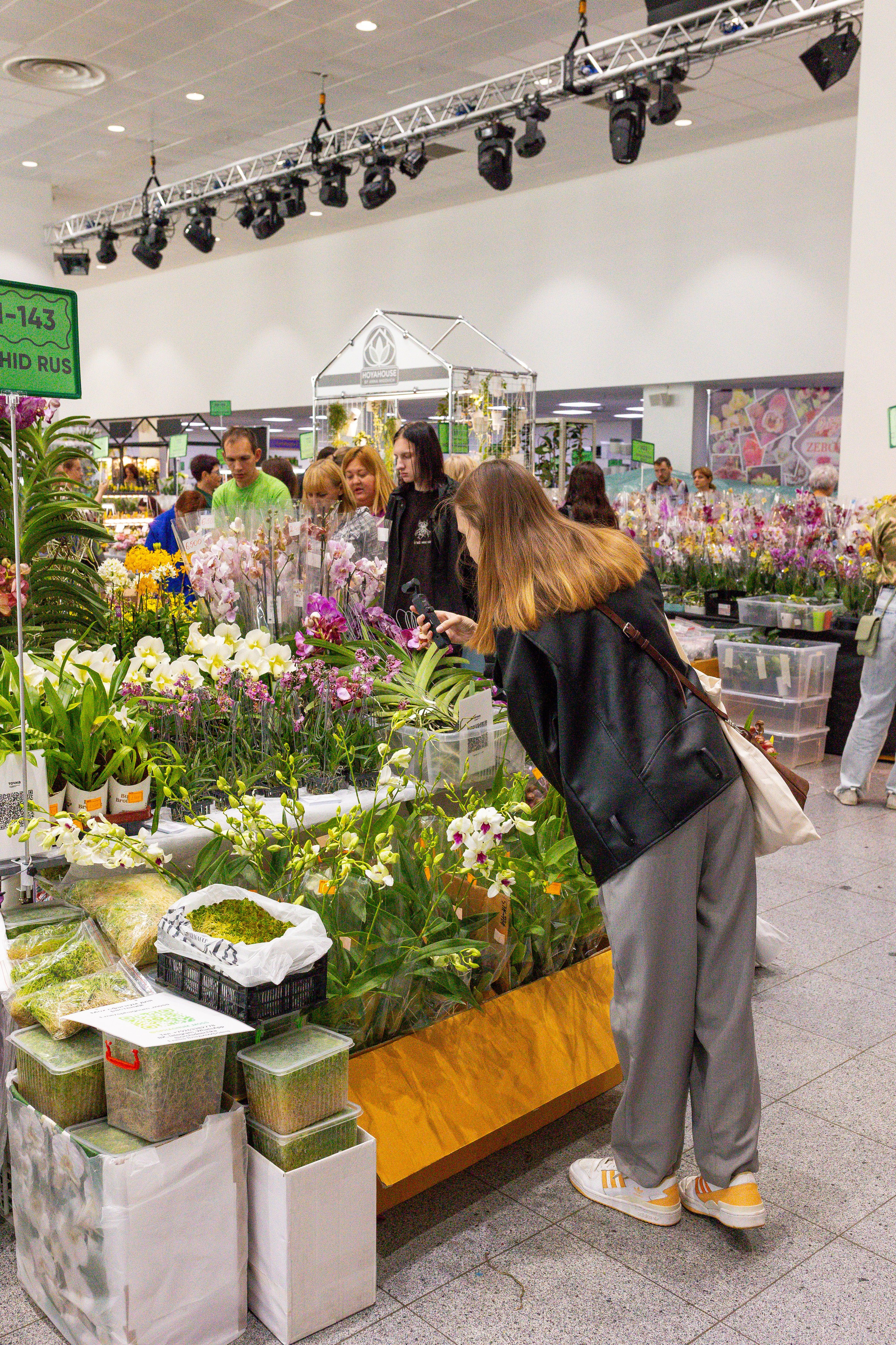 Орхидиум сентябрь 2025. Александра Куликова фотограф, Москва