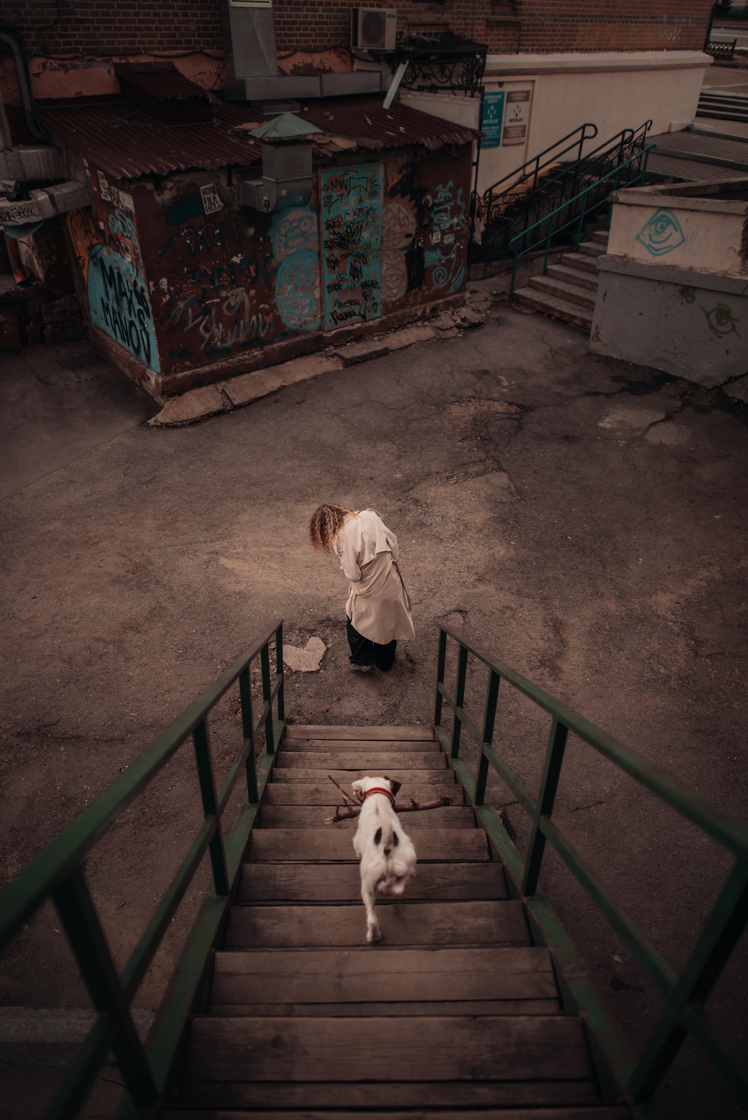 Рассвет в городе: Ира и парсон Гром. Портфолио