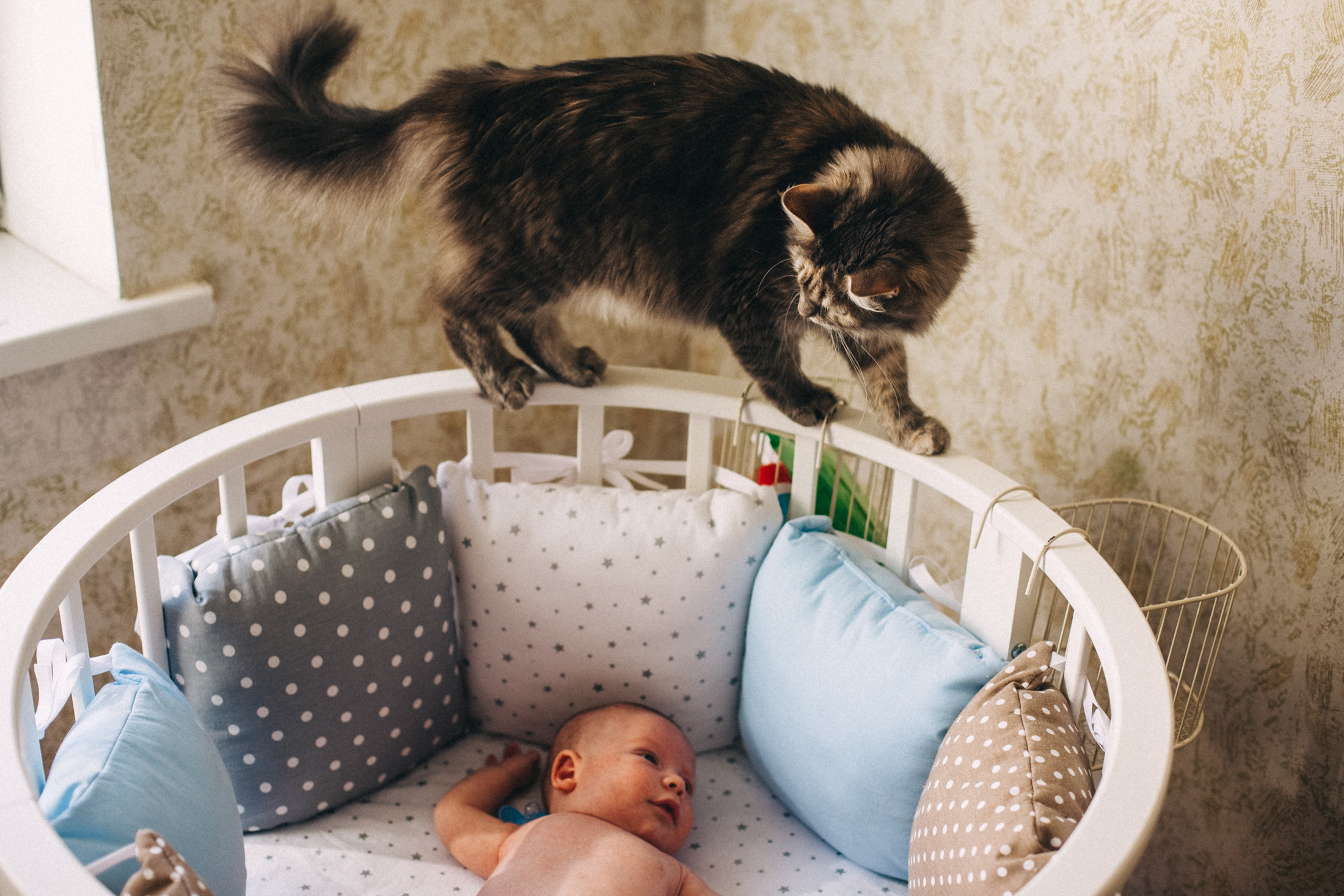 Про любовь и молоко. Семейный фотограф, фотограф родов, репортажей фотограф в Санкт-Петербу