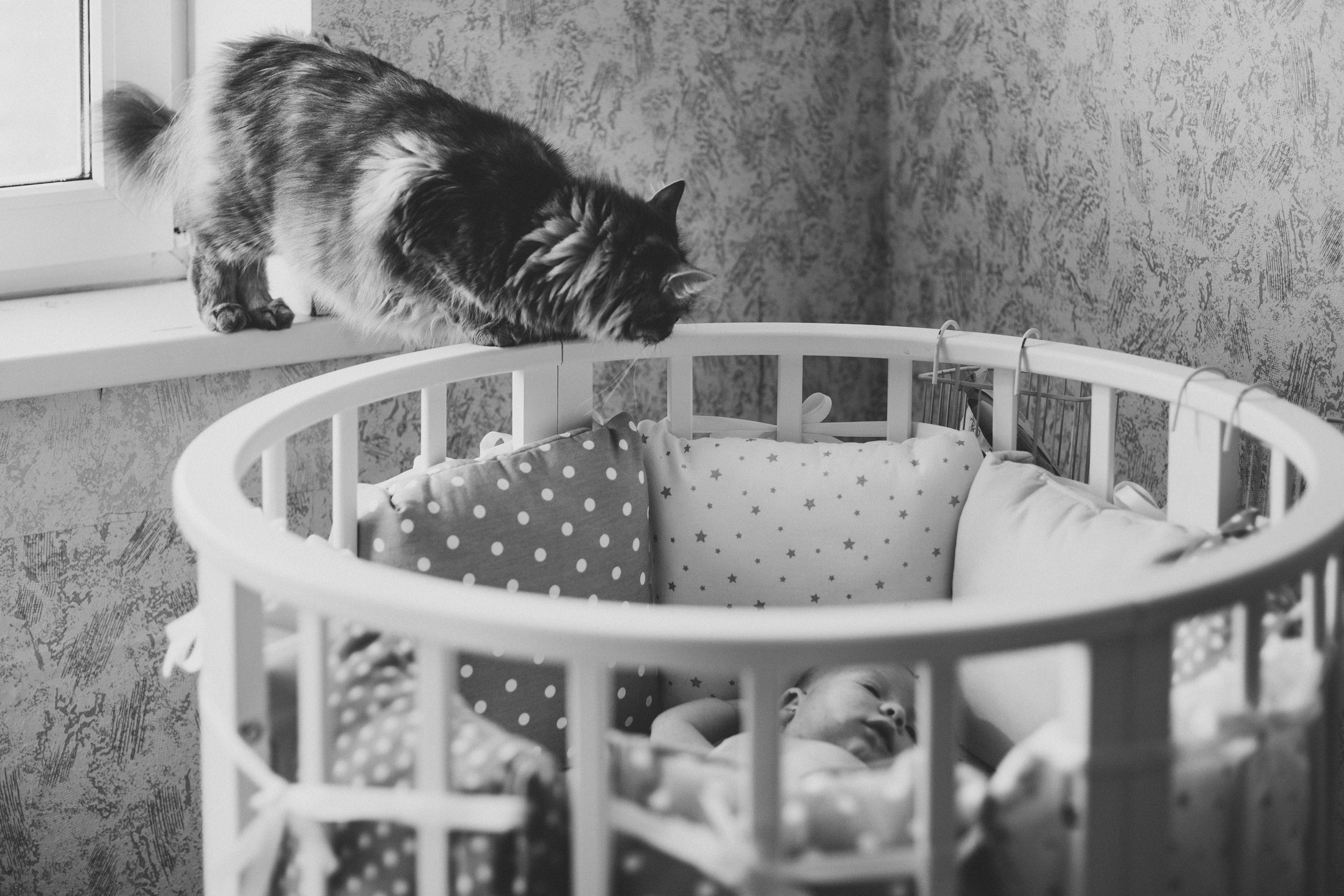 Про любовь и молоко. Семейный фотограф, фотограф родов, репортажей фотограф в Санкт-Петербу