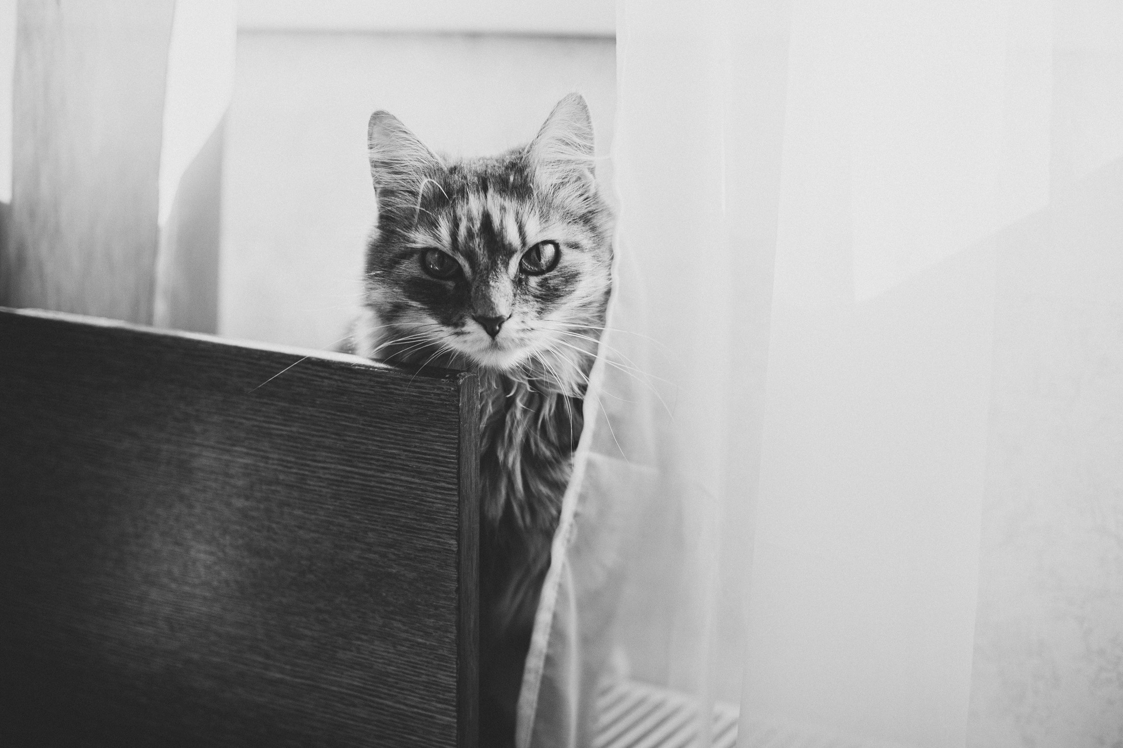 Про любовь и молоко. Семейный фотограф, фотограф родов, репортажей фотограф в Санкт-Петербу