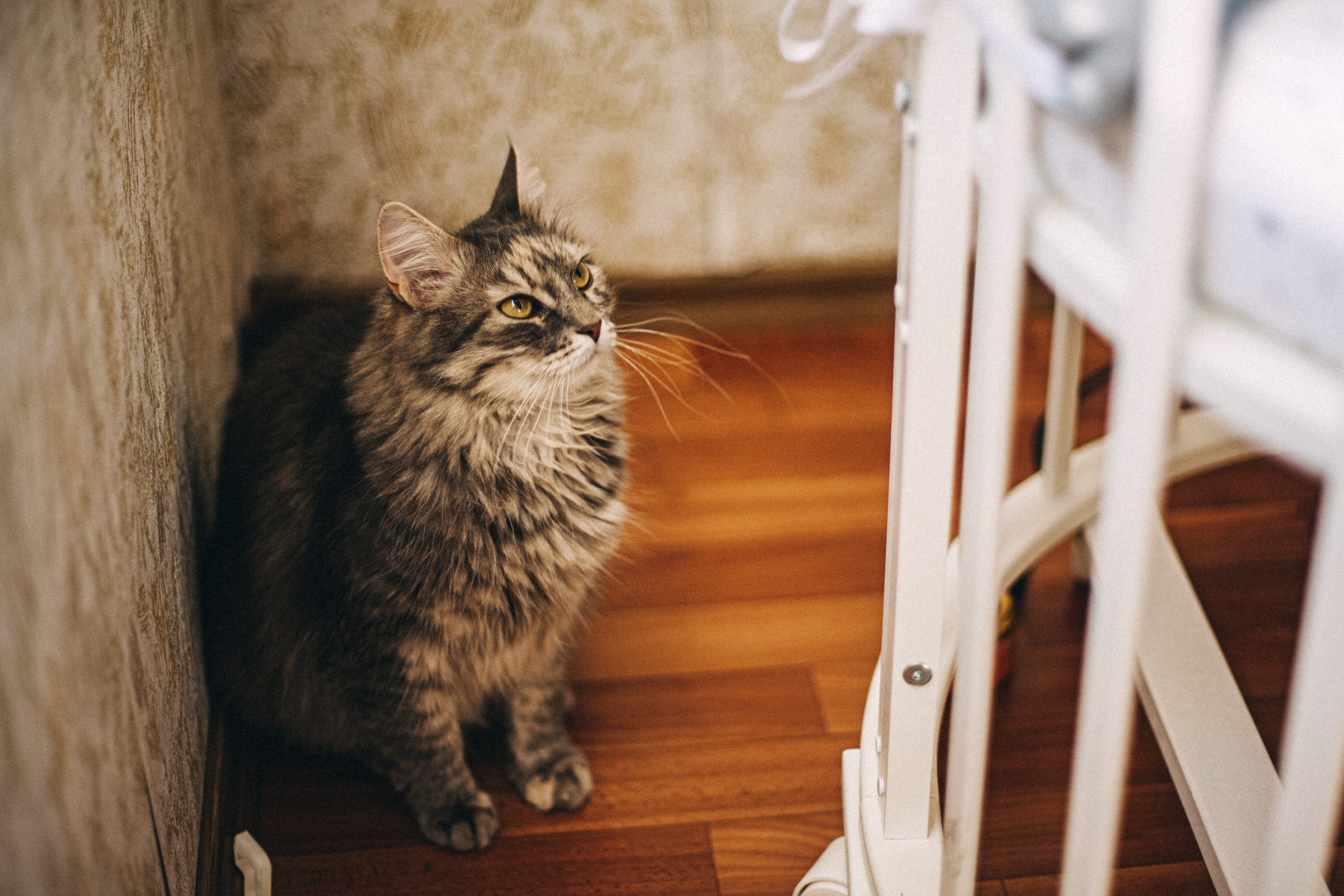 Про любовь и молоко. Семейный фотограф, фотограф родов, репортажей фотограф в Санкт-Петербу