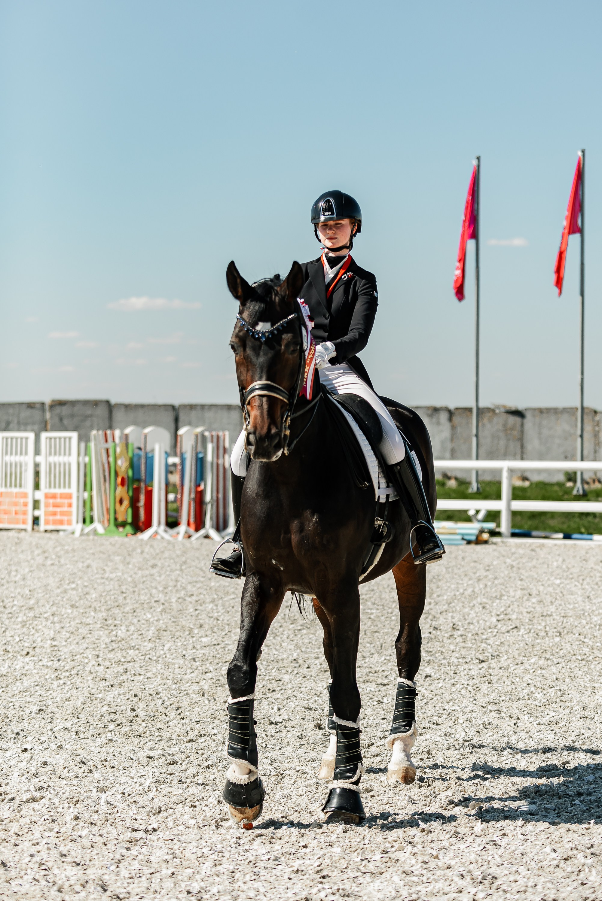 РЕПОРТАЖ МКК ВОЛЬТ «LA TULIPS». Конный фотограф Куракина Дарья • Фотосессии с лошадьми