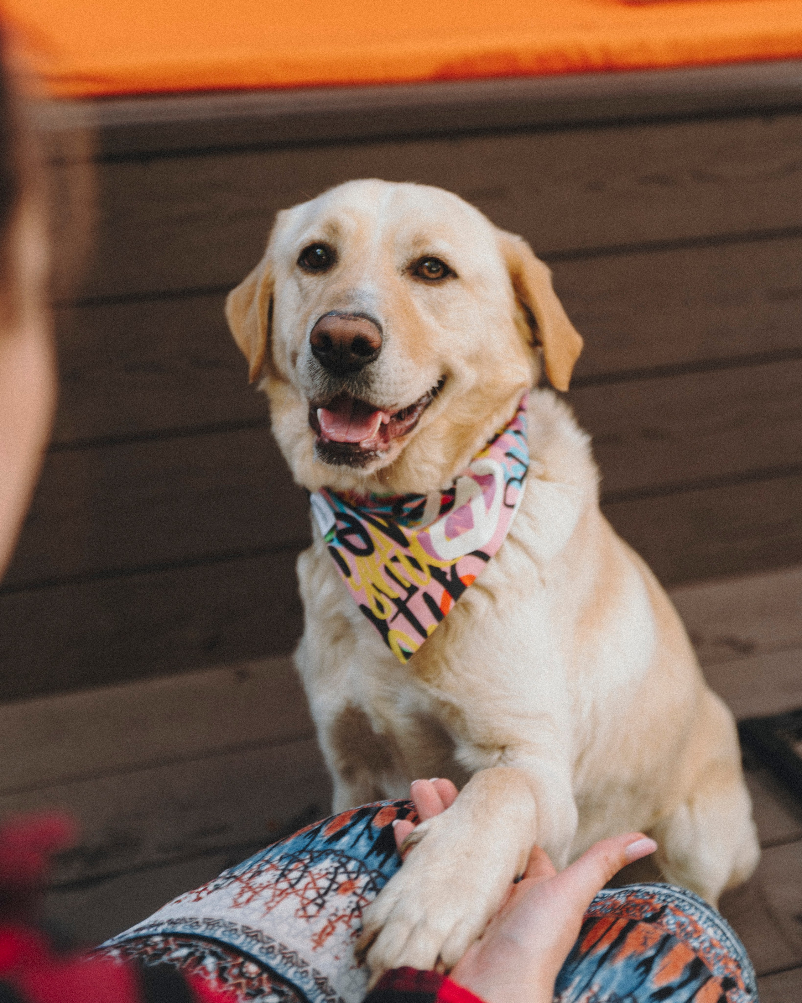 Животные. Фотограф Сочи-Краснодар