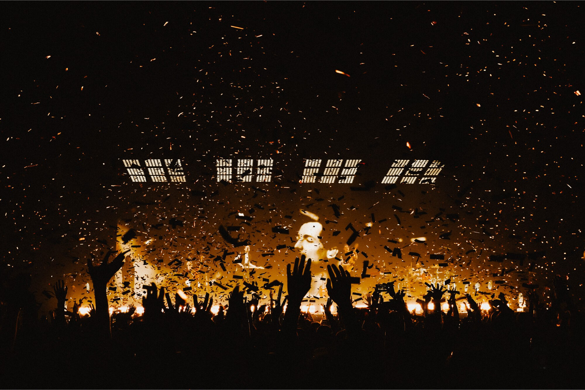 Профессиональный фотограф звезд, концертов и спортивных событий