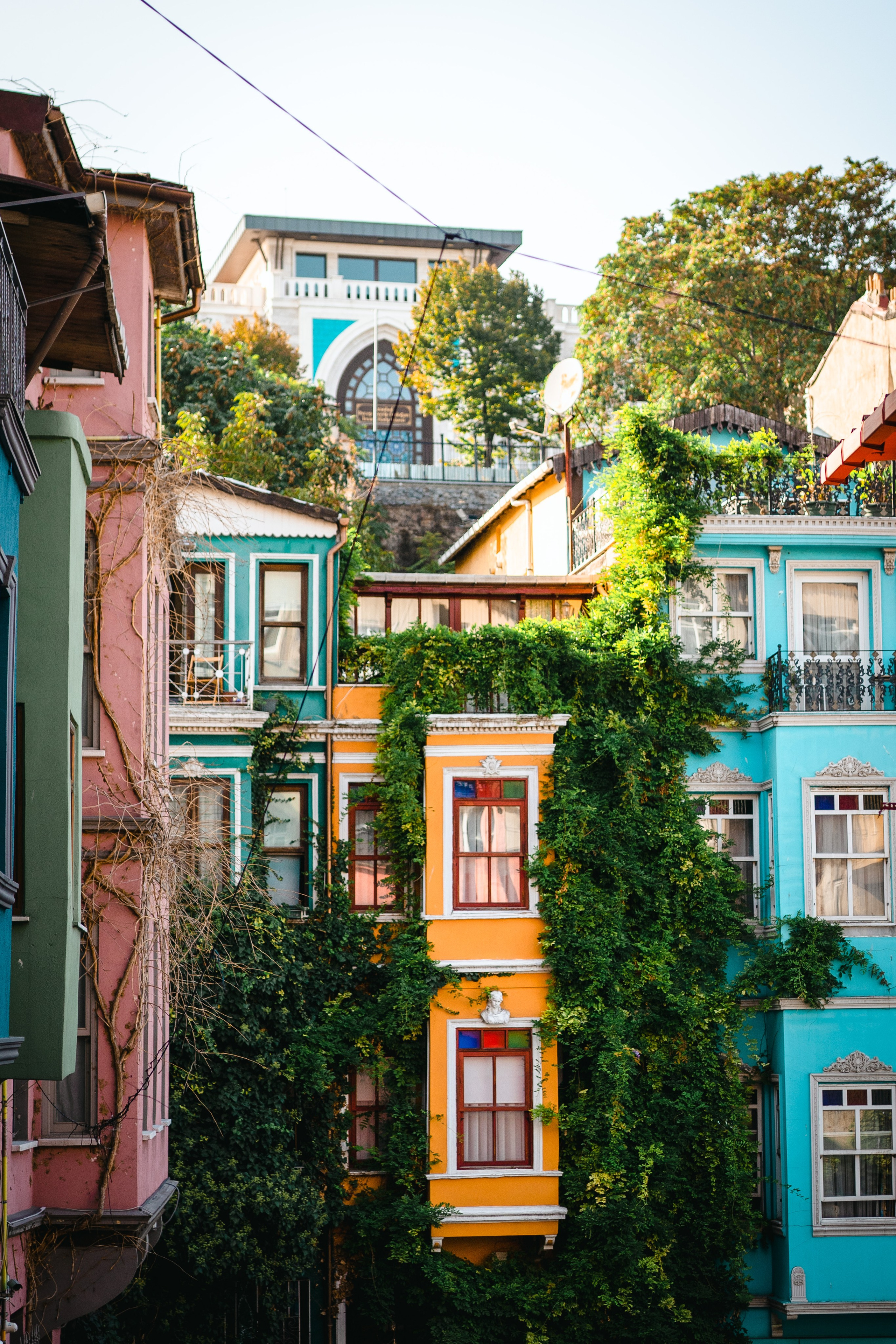 World. Фотограф в Санкт-Петербурге