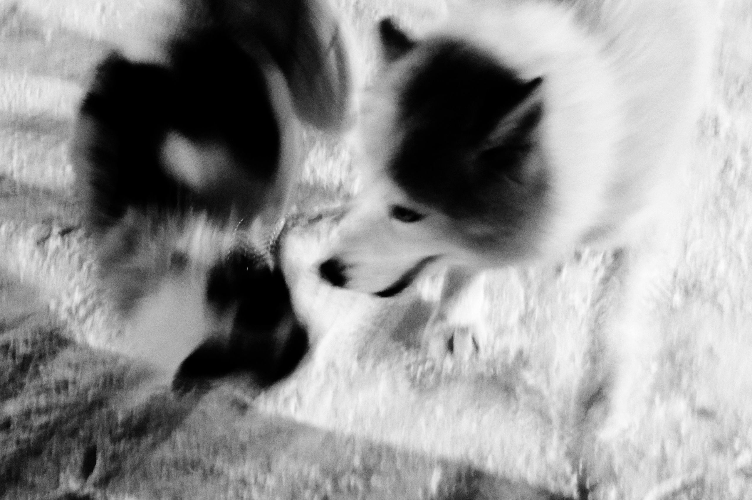 ТУРЫ. Dcnsmncm