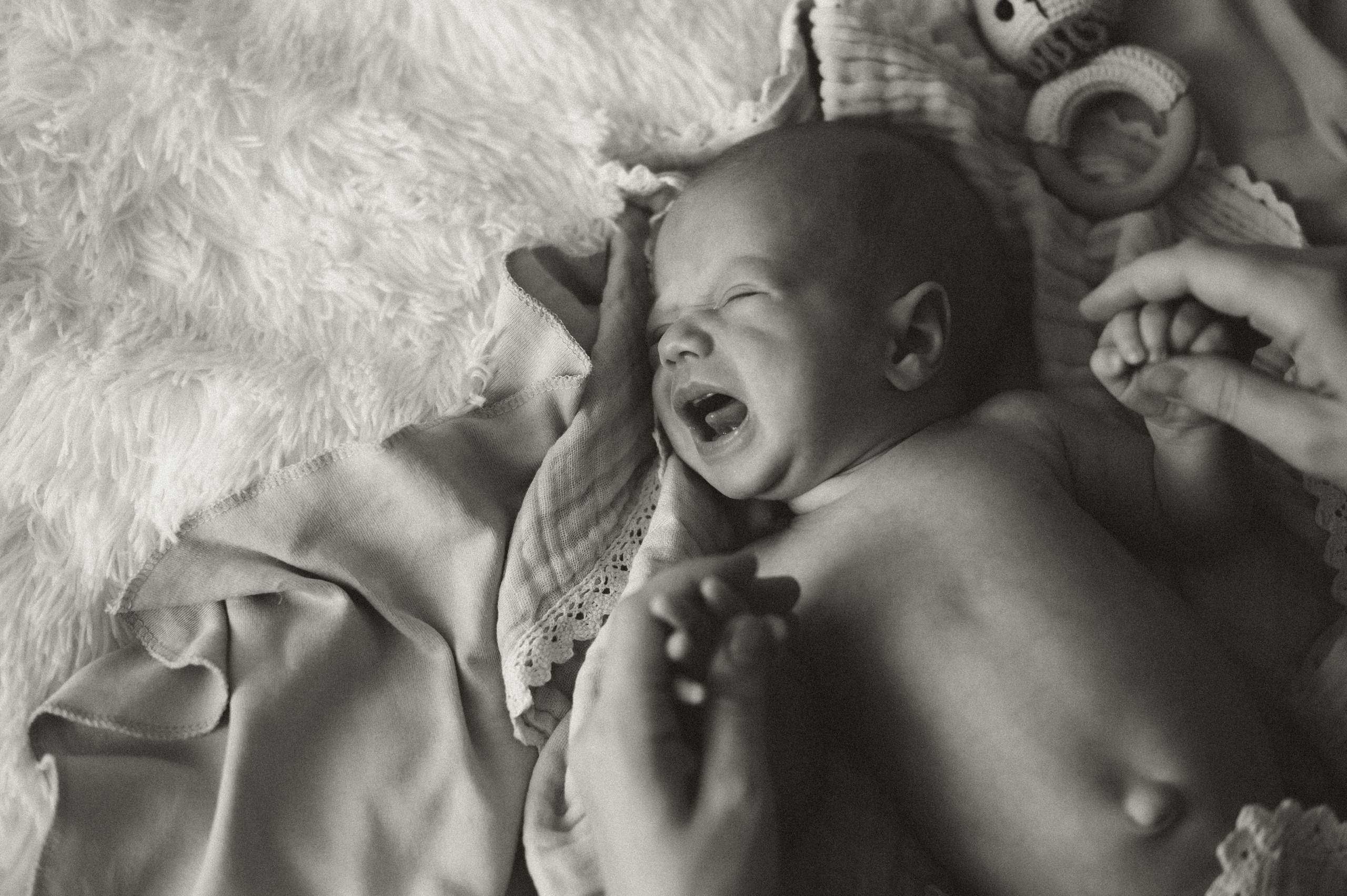 Первый месяц…. Семейный фотограф в г. Ставрополь, Сорокина Мария