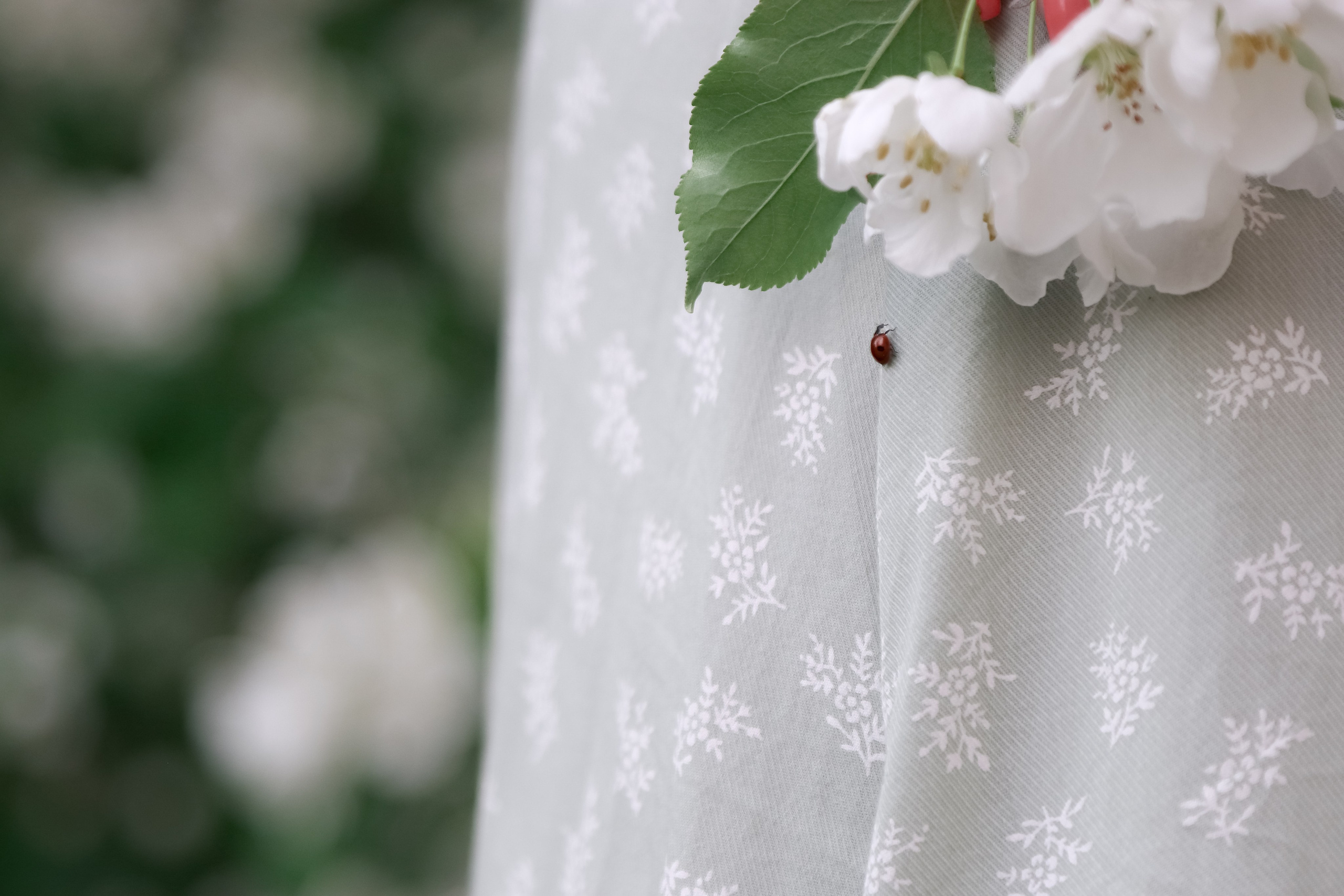 Любовь и цветущая яблоня. Портретный и пейзажный фотограф Никита Павлов