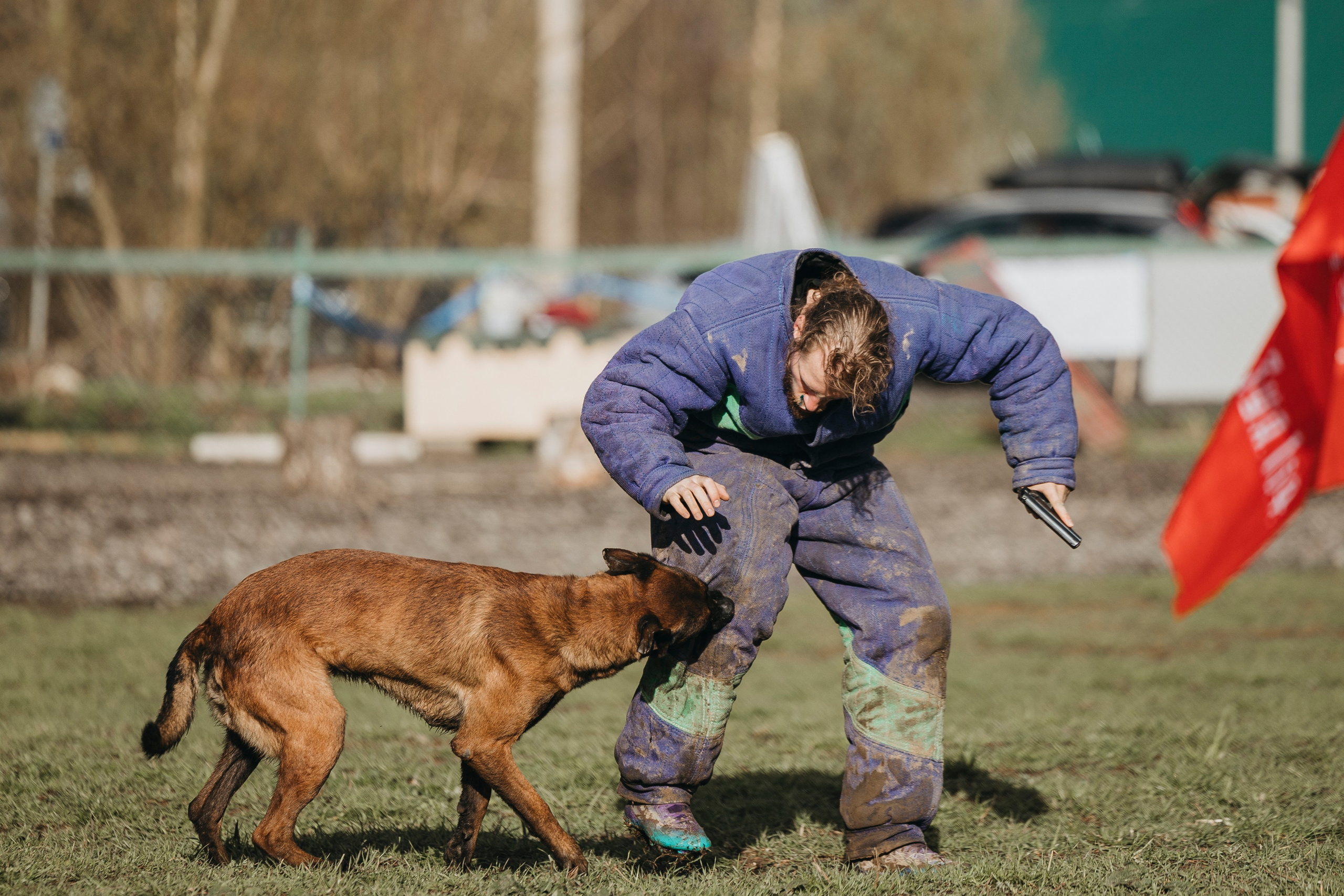 09.05.25 Вологда соревнования. Фотограф-анималист Анна Маринич