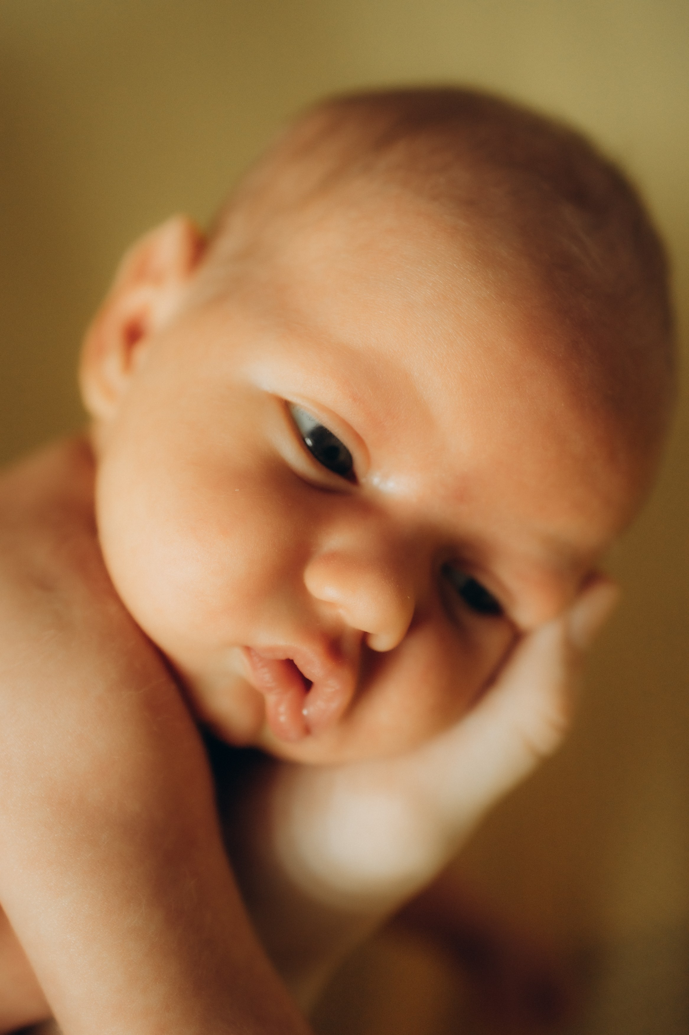 фотосессия новорожденного, фотосессия новорожденных, ньюборн, пушкин, павловск, спб, семейная фотосессия