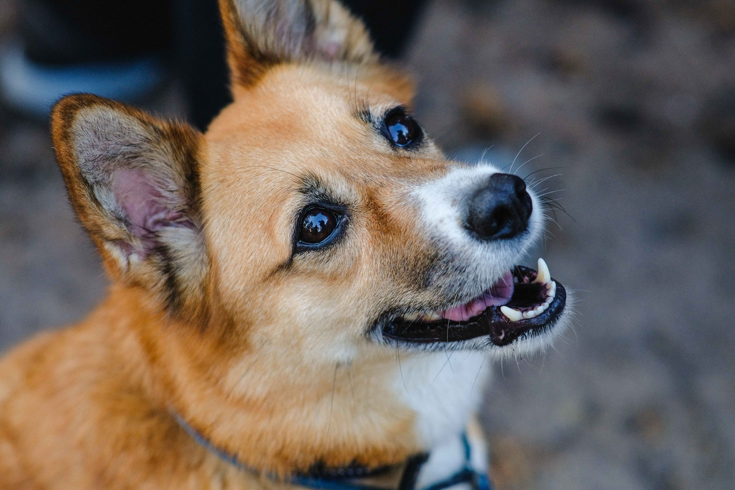 2022.08.13-14 — КВС 2022 — Базлаг, подготовка СУ, брифинг. Фотограф Алексей Алексеев