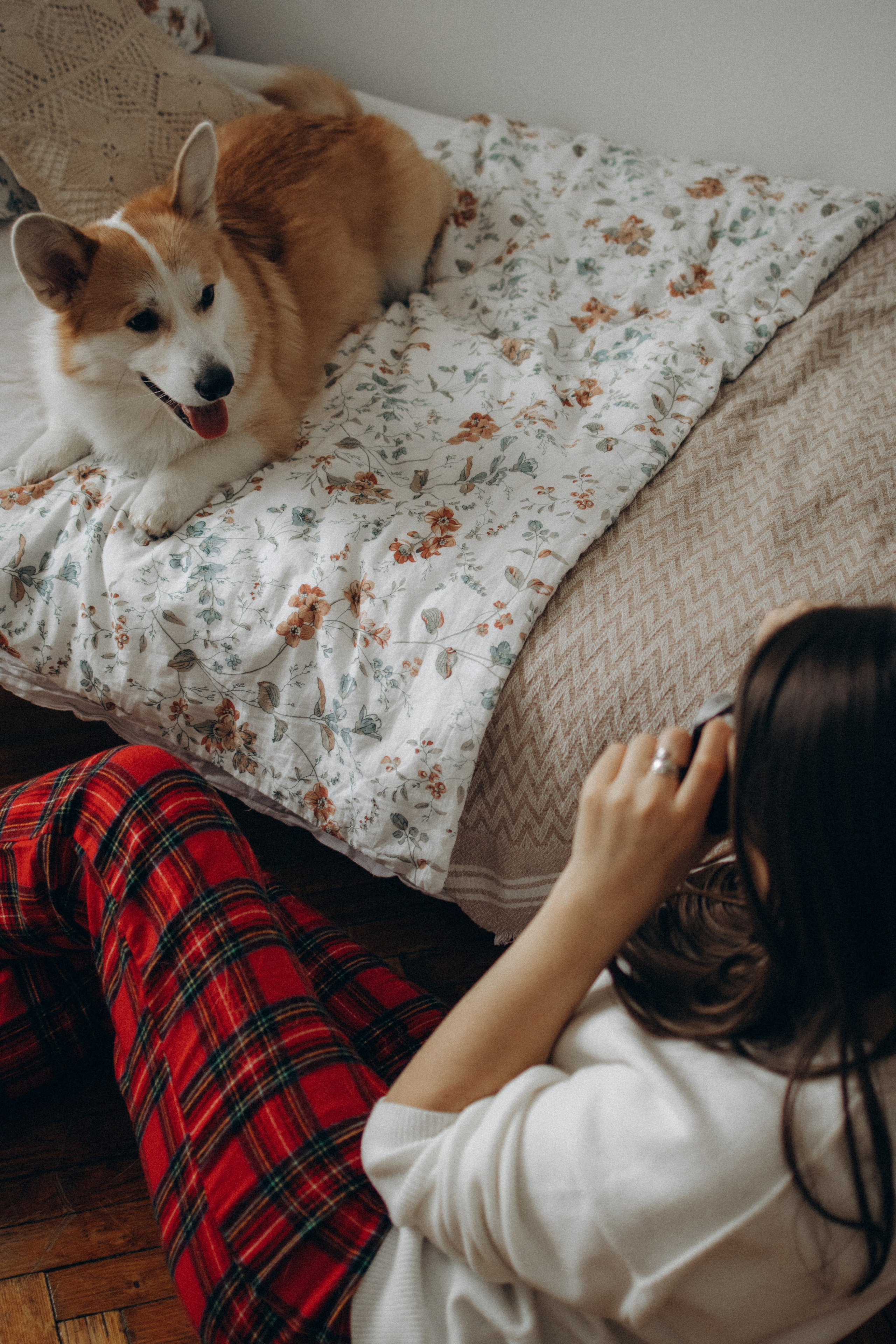 Ронни и Жанна. Фотораф — анималист Мария Шистка