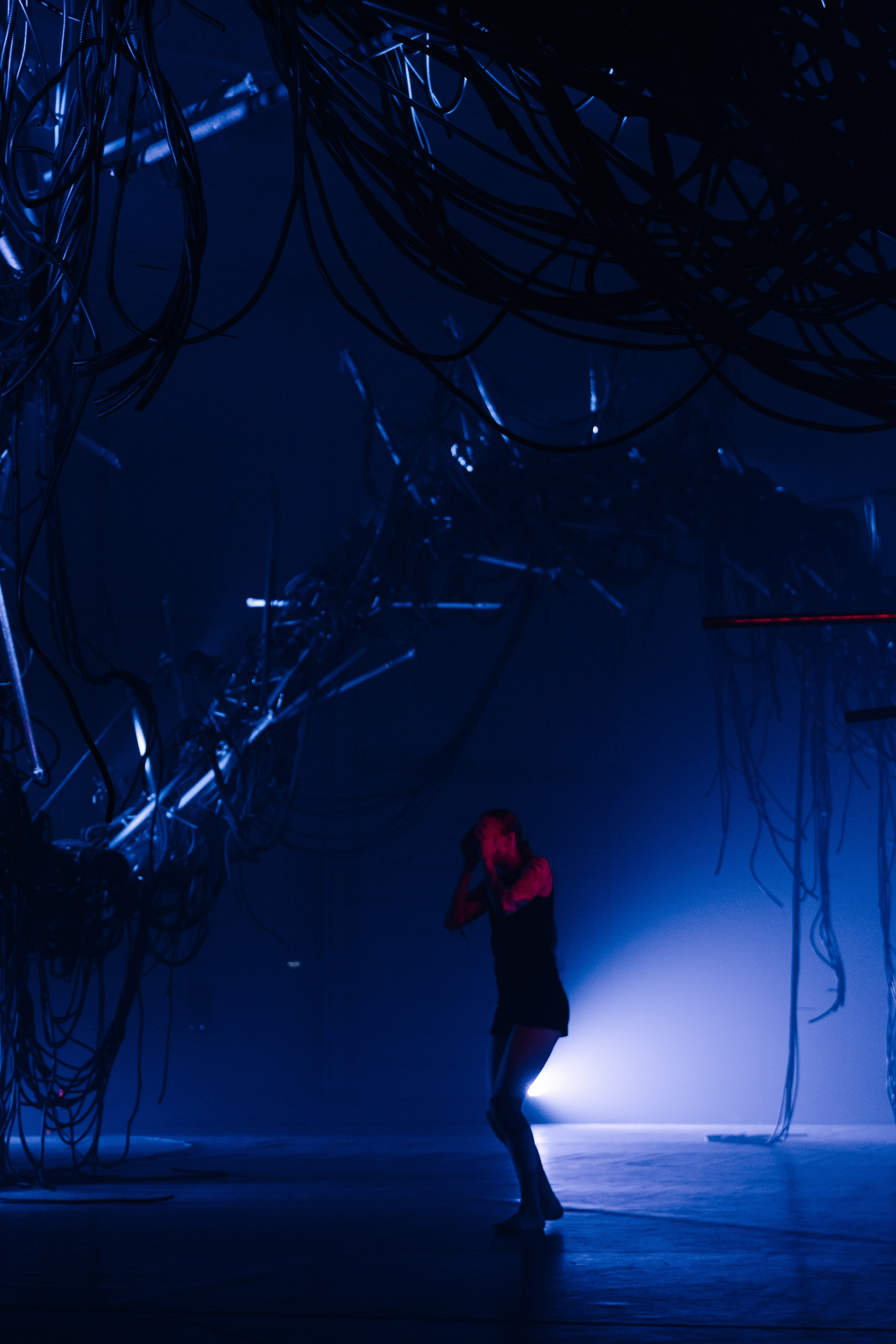 PERFORMA, The Hour of the Horse. @tomrus: Рустам Шагиморданов — фотограф