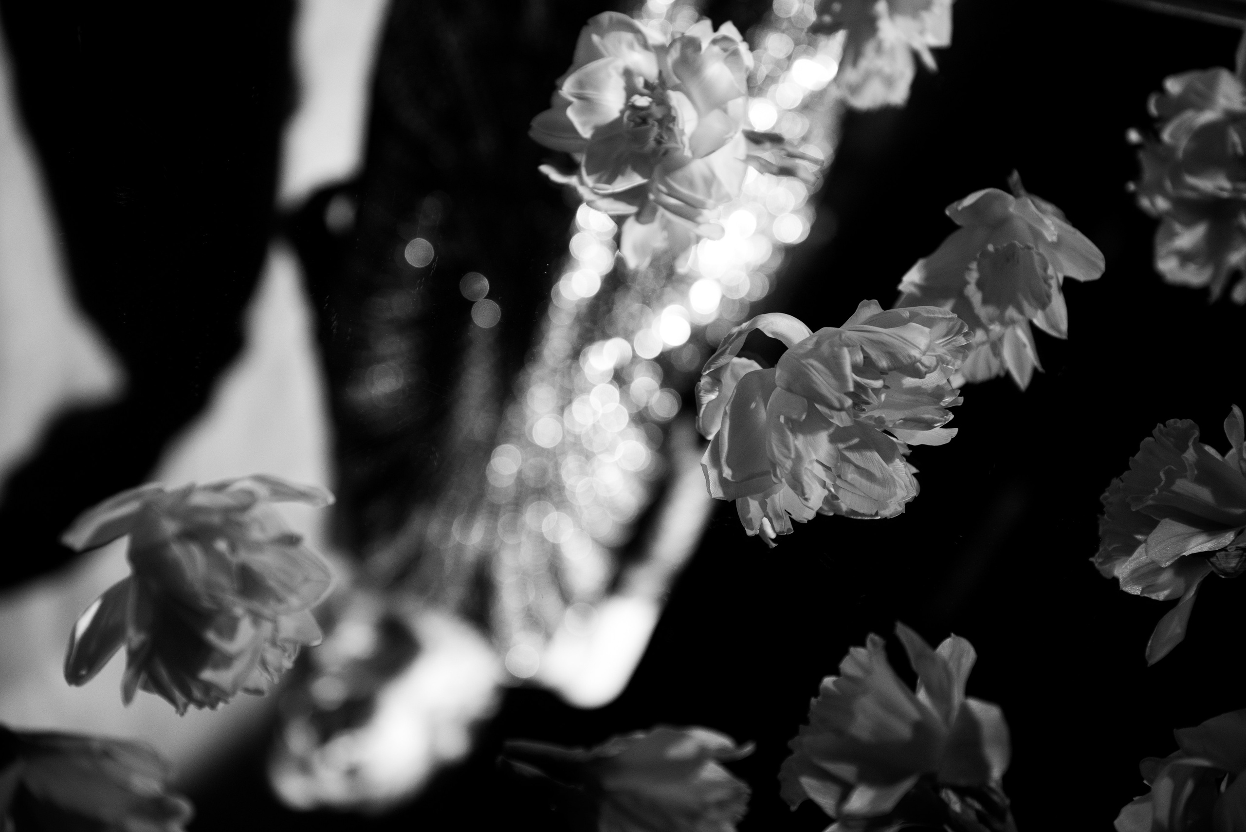 Полина. Портретный и архитектурный фотограф в Москве и Санкт-Петербурге