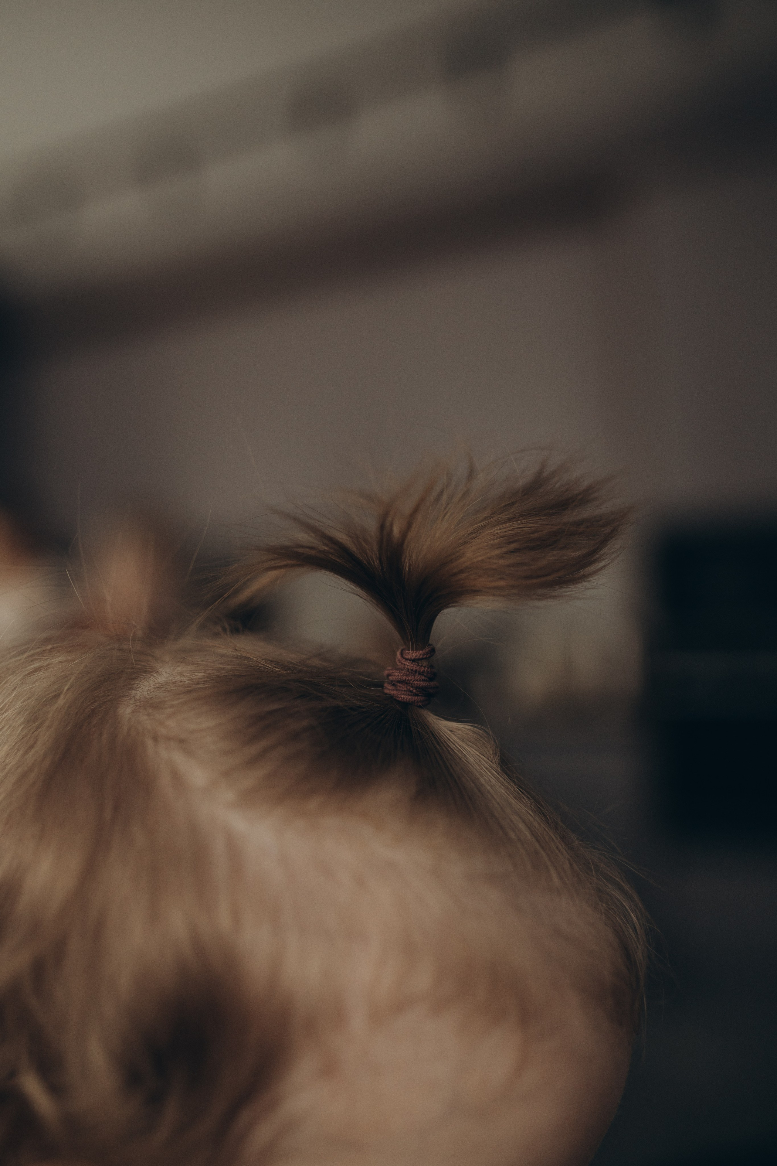 Дома классно. Семейный фотограф в Брянске Зурилина Екатерина