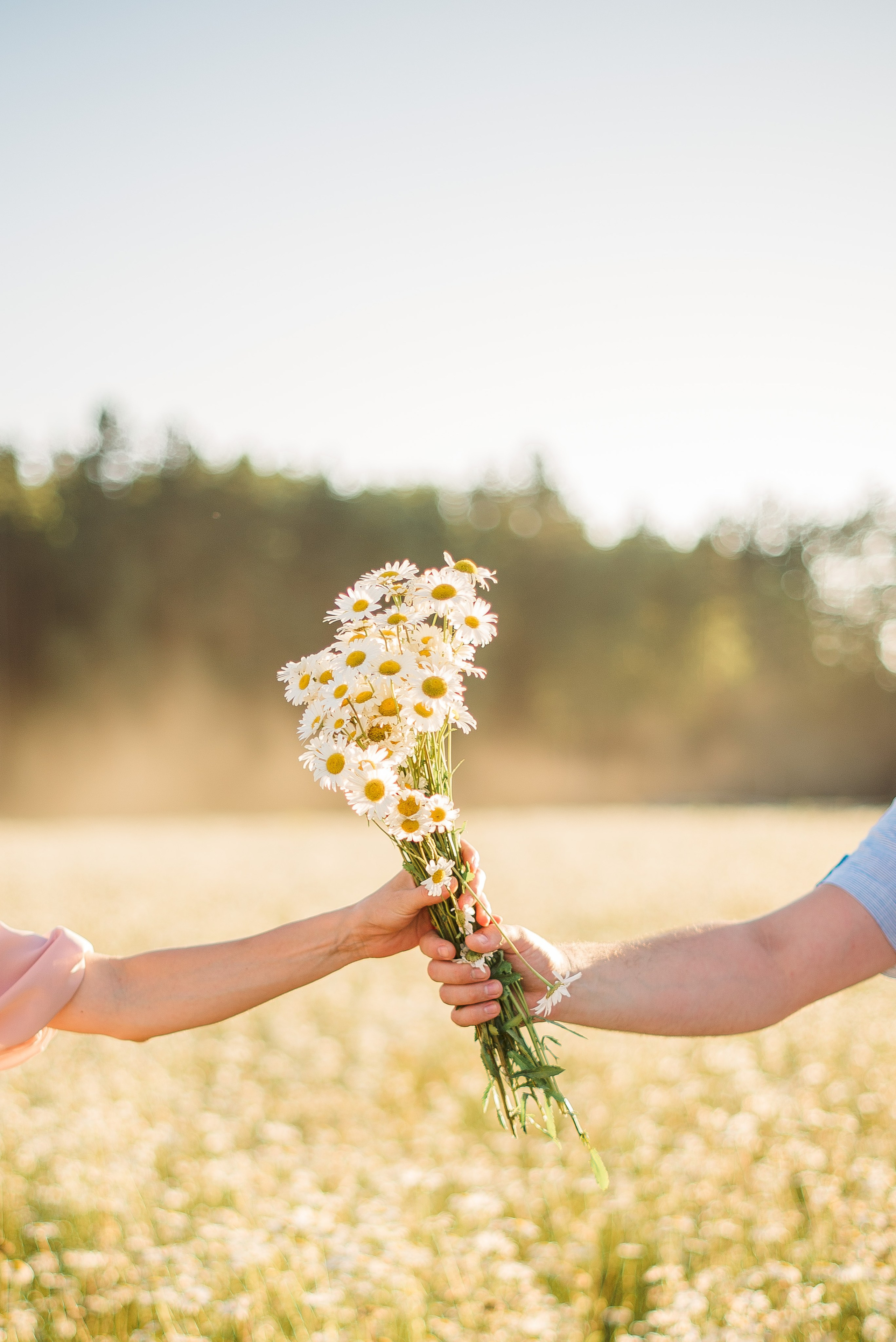 РОМАШКОВАЯ ИСТОРИЯ. Свадебный и семейный фотограф РИТА БОЧКАРЁВА