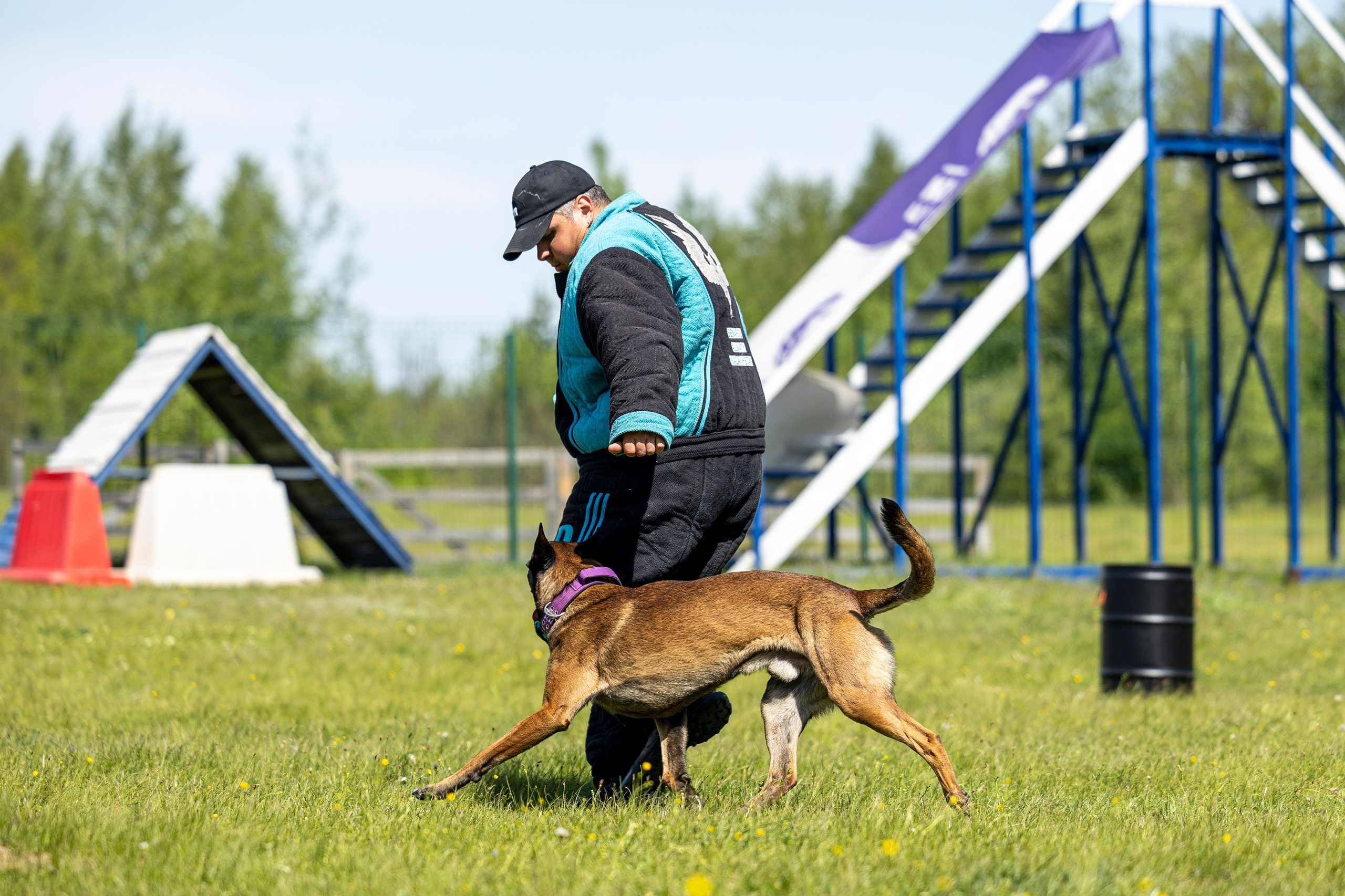 Испытания по мондьорингу в Нижнем Новгороде. Фотограф-анималист Анна Маринич