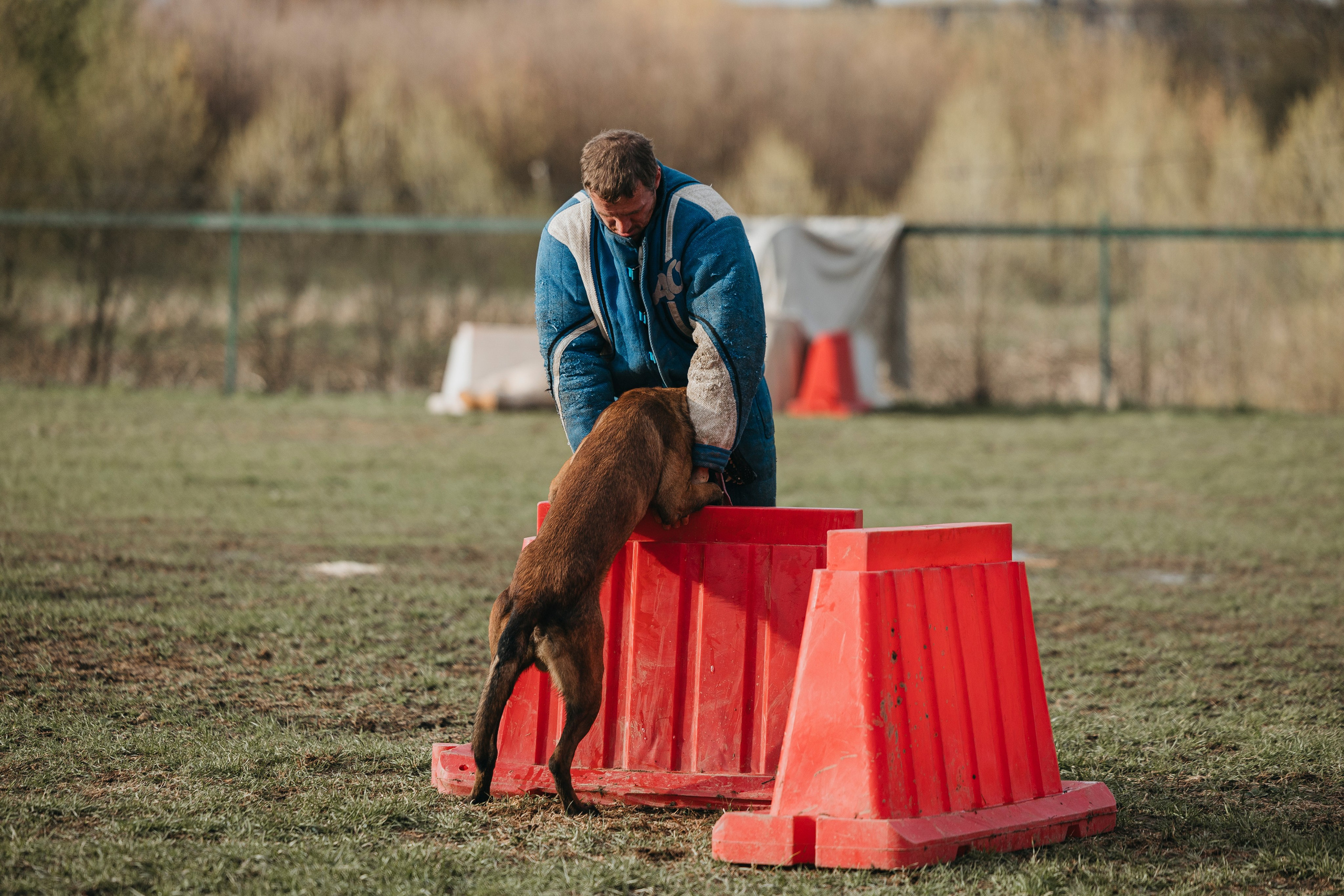 09.05.25 Вологда соревнования. Фотограф-анималист Анна Маринич