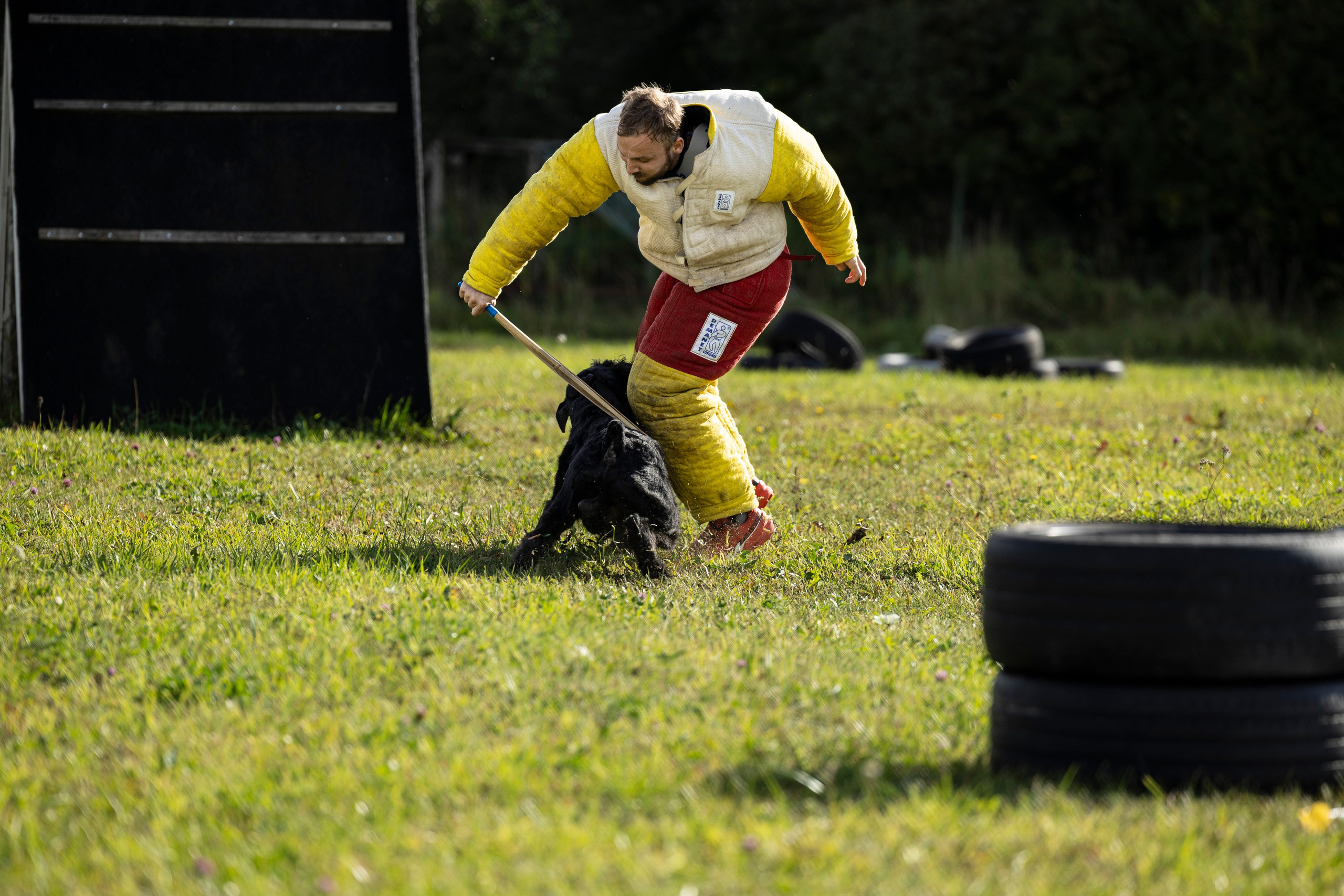 Испытания по Мондьорингу г. Пушкин. Фотограф-анималист Анна Маринич