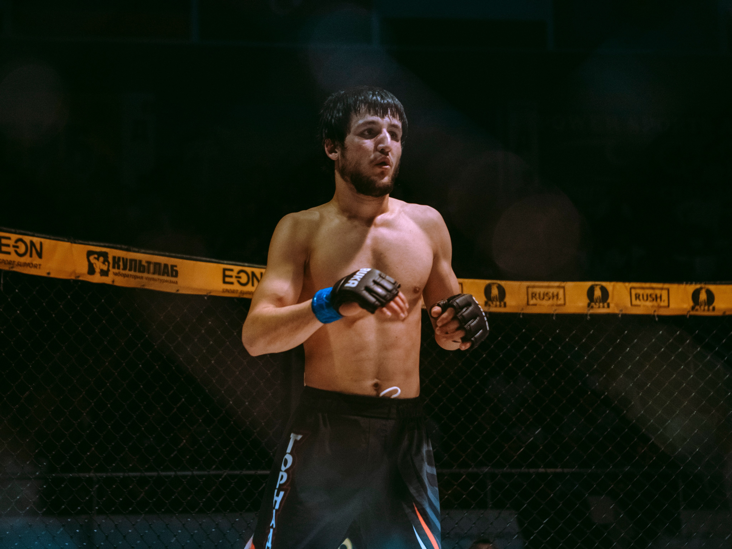 SFL 17 | Siberian Fighting League. Портретный фотограф в Москве Дарья Цезария