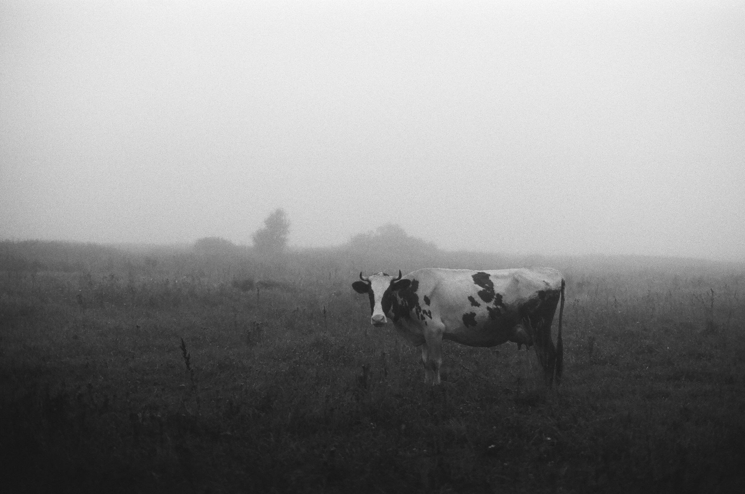 Lisa & Serezha. Sasha Chernov | Documentary Photographer, Berlin