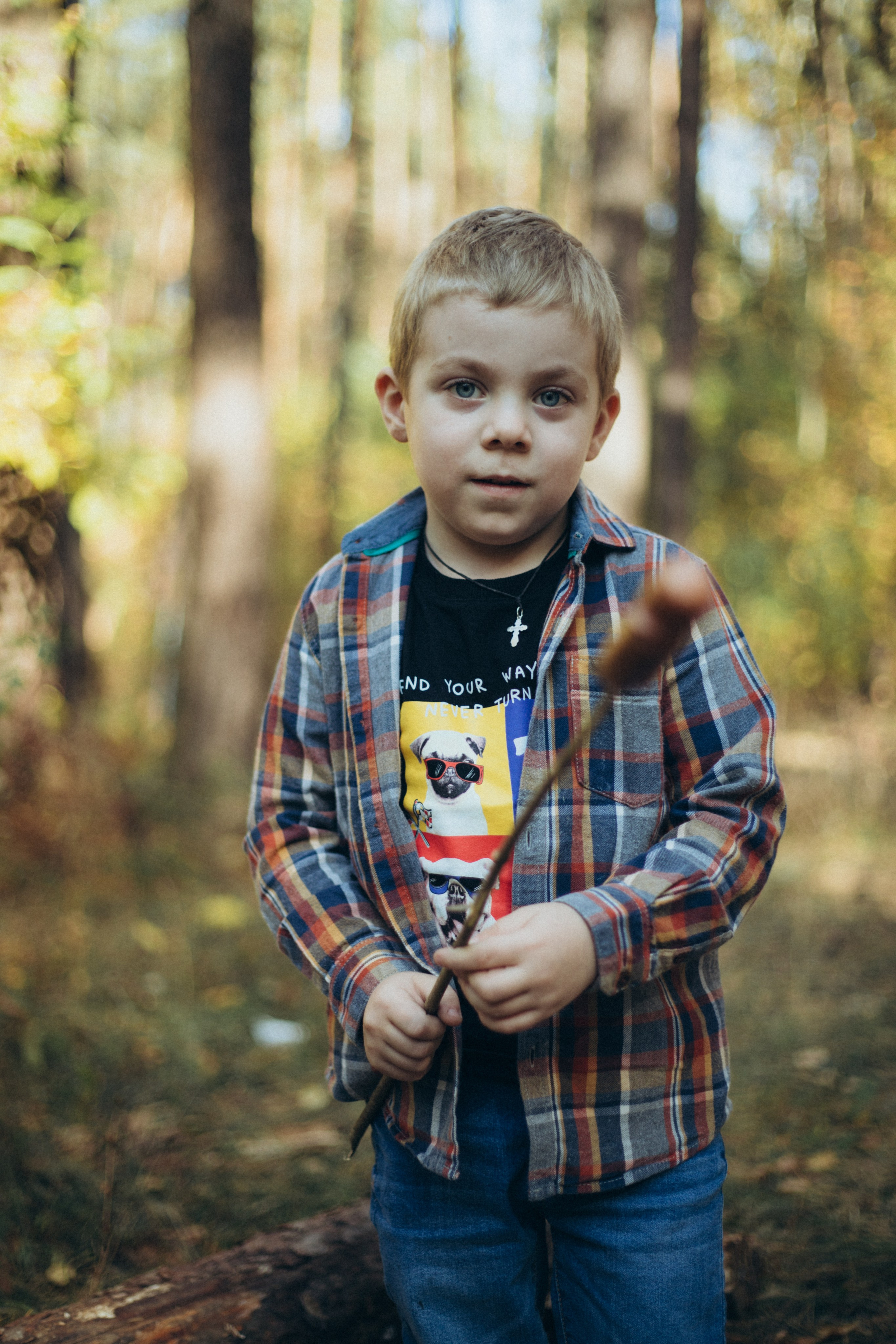 Лес. Семейный и репортажный фотограф в Орле