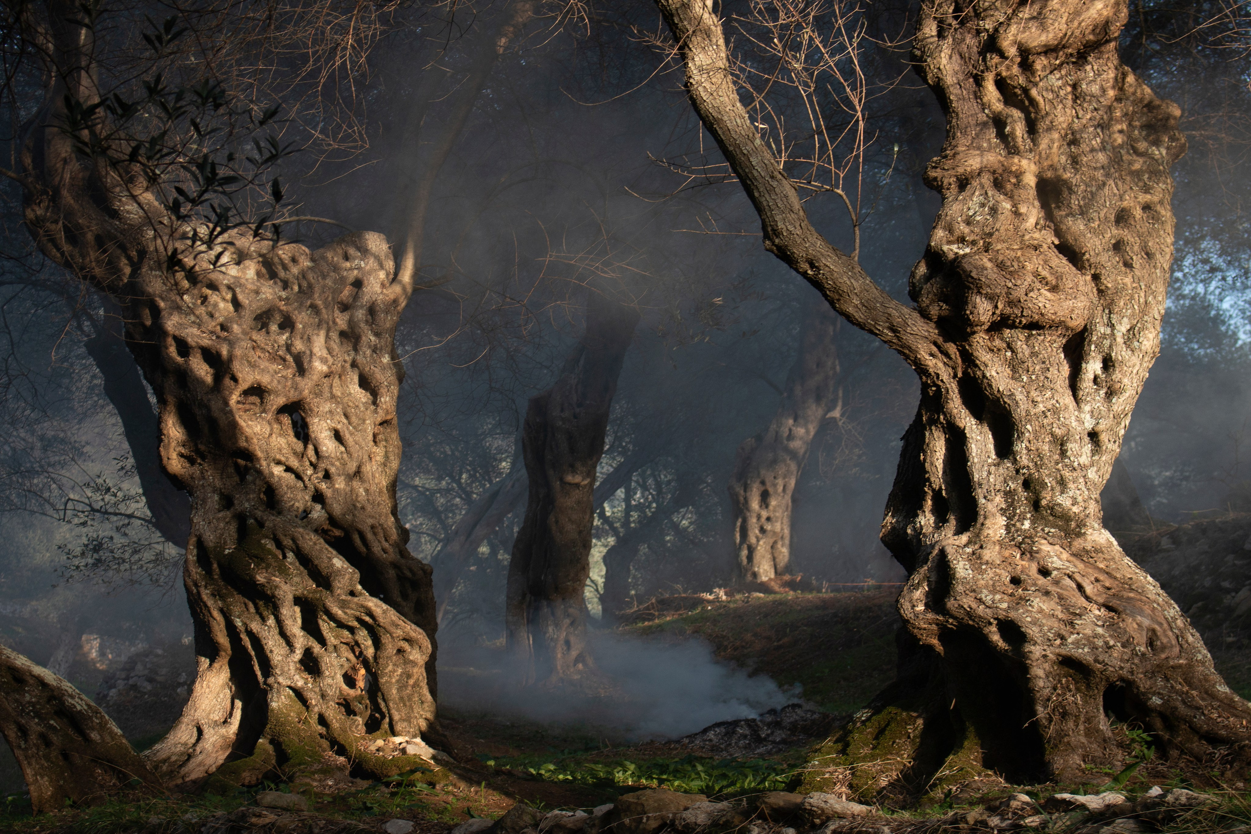 Фото. Фотограф Лагутин Анатолий